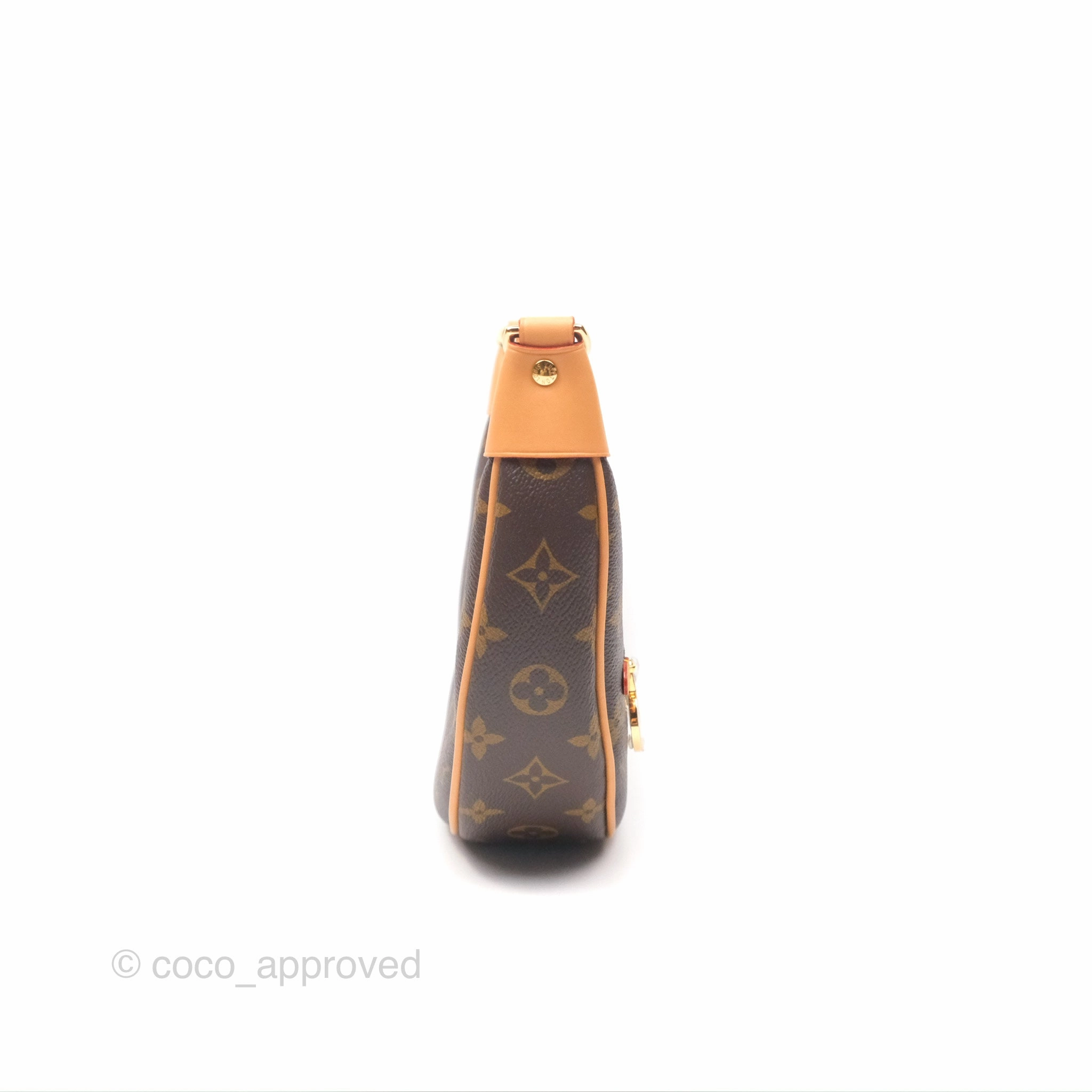 Louis Vuitton Loop Monogram Canvas