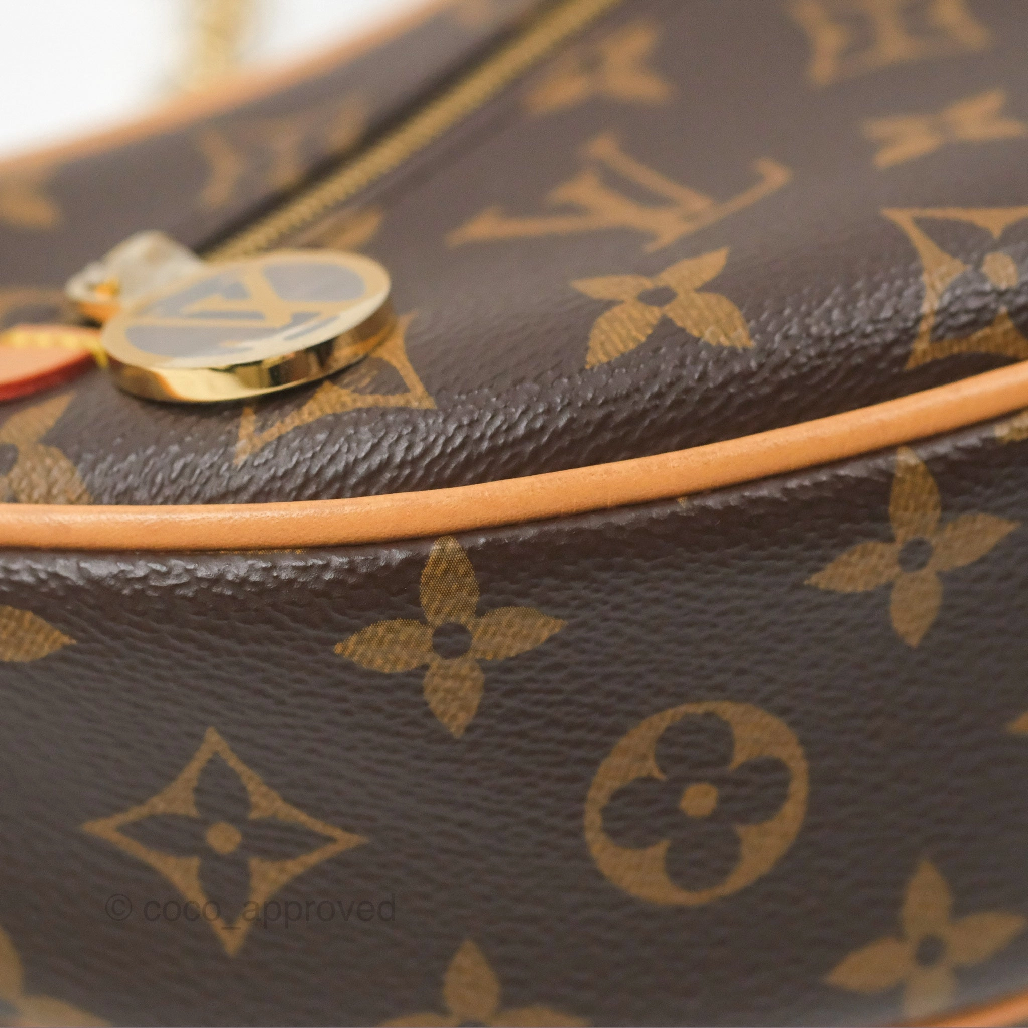 Louis Vuitton Loop Monogram Canvas