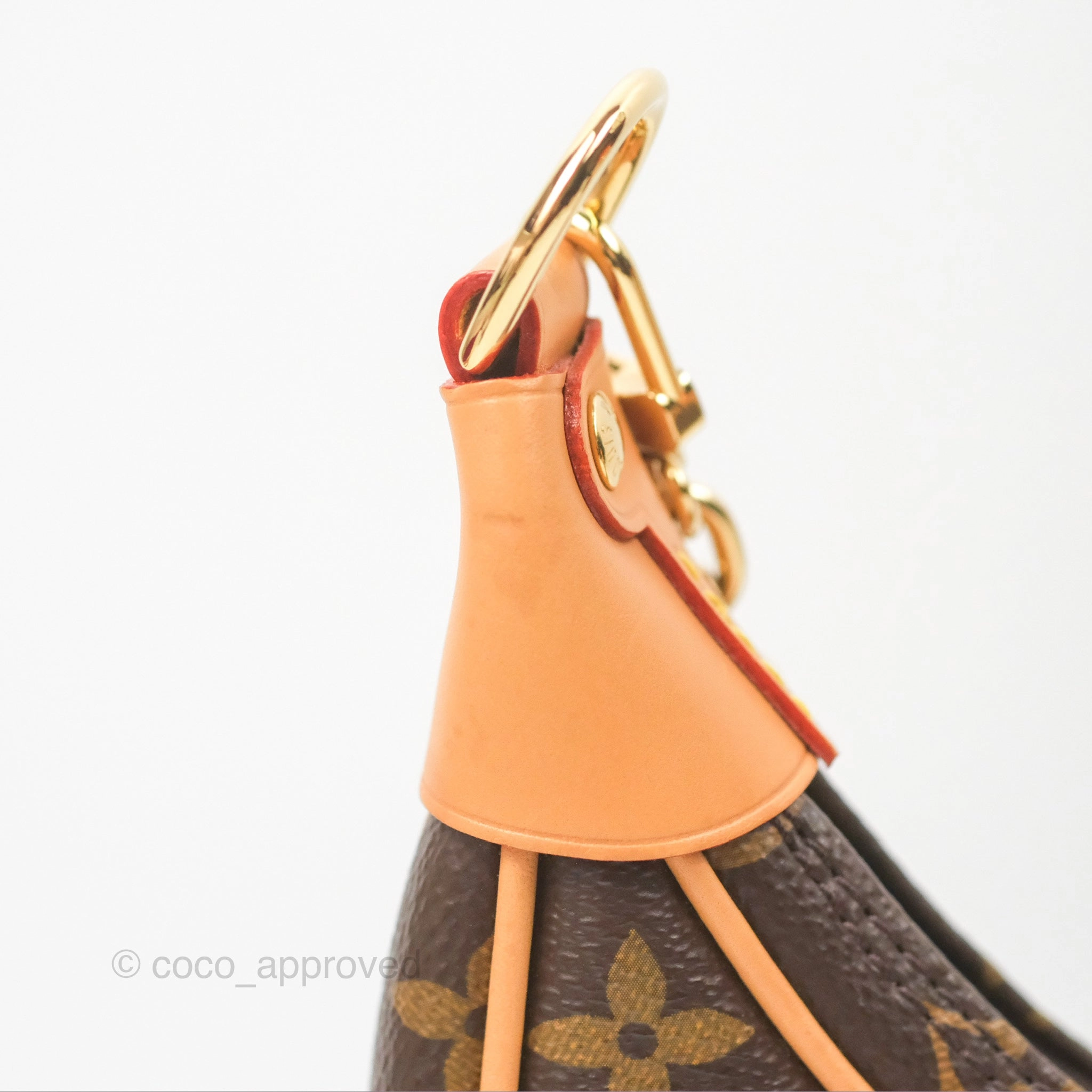 Louis Vuitton Loop Monogram Canvas