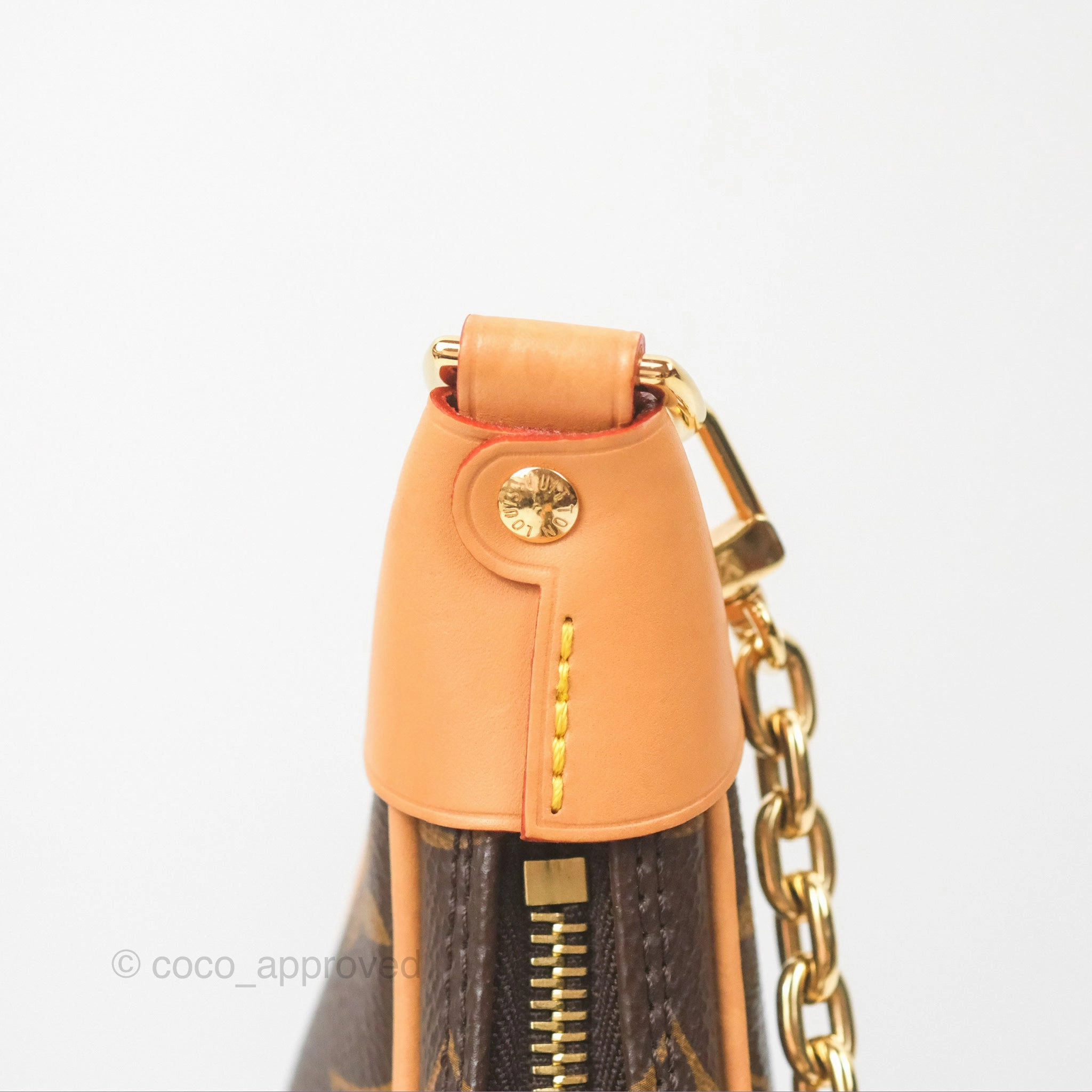 Louis Vuitton Loop Monogram Canvas