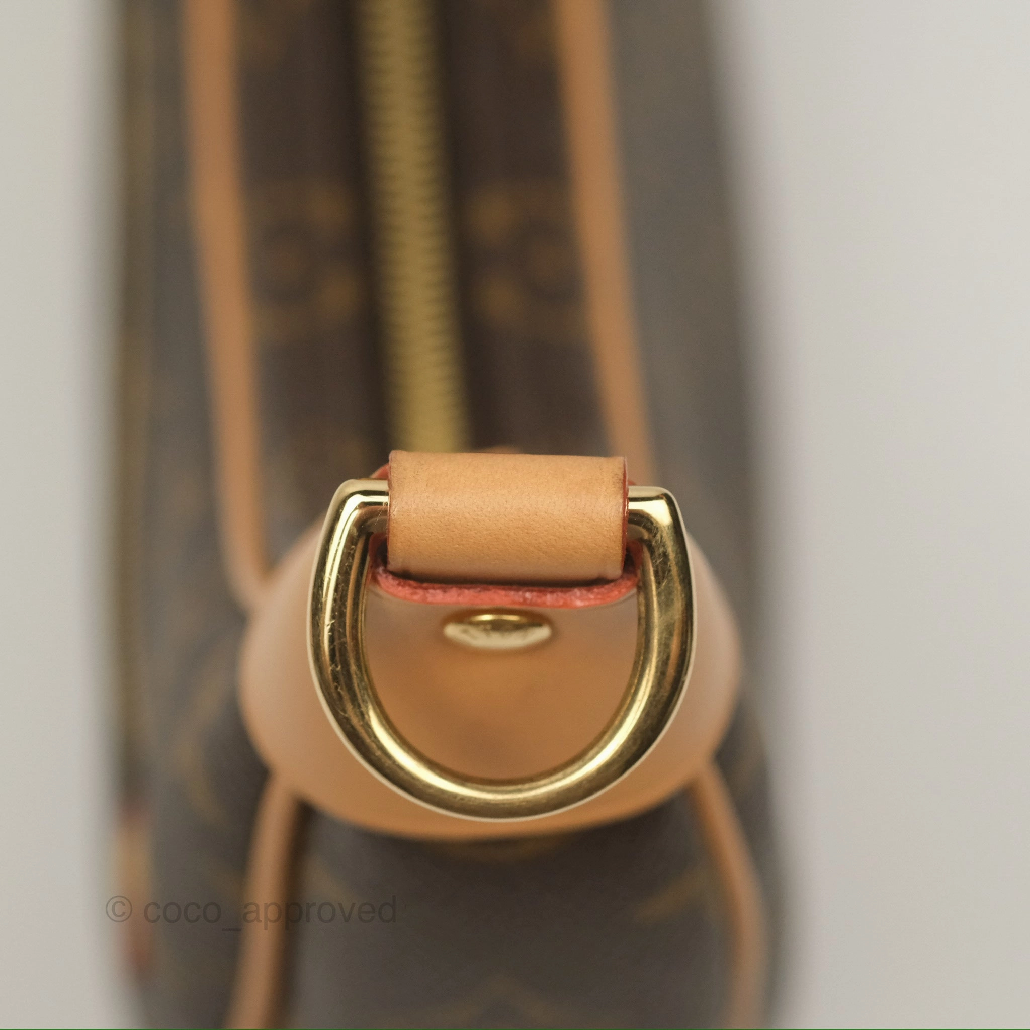 Louis Vuitton Loop Monogram Canvas