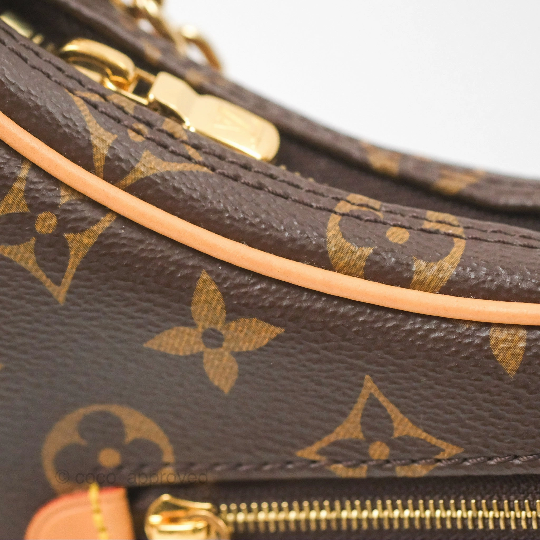 Louis Vuitton Loop Monogram Canvas
