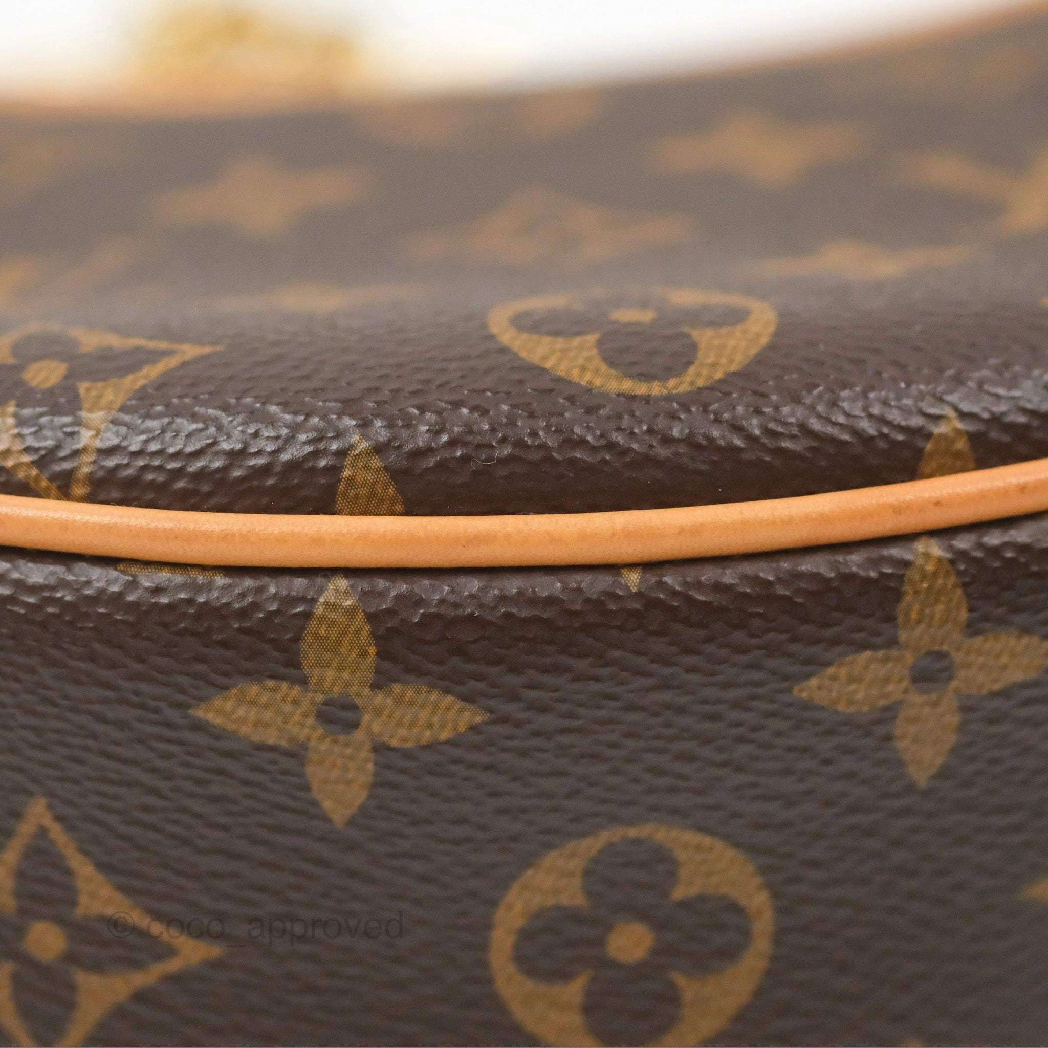 Louis Vuitton Loop Monogram Canvas