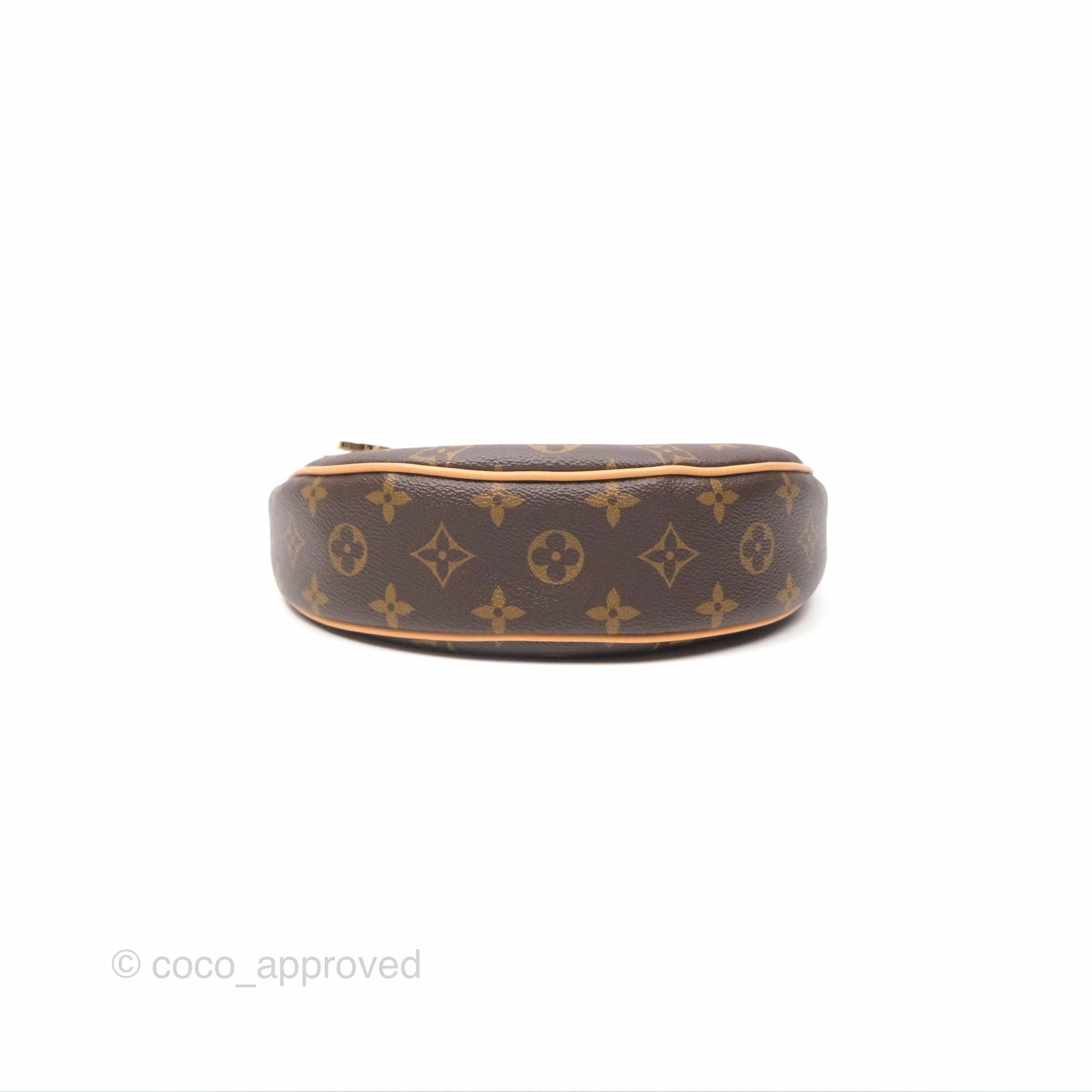 Louis Vuitton Loop Monogram Canvas