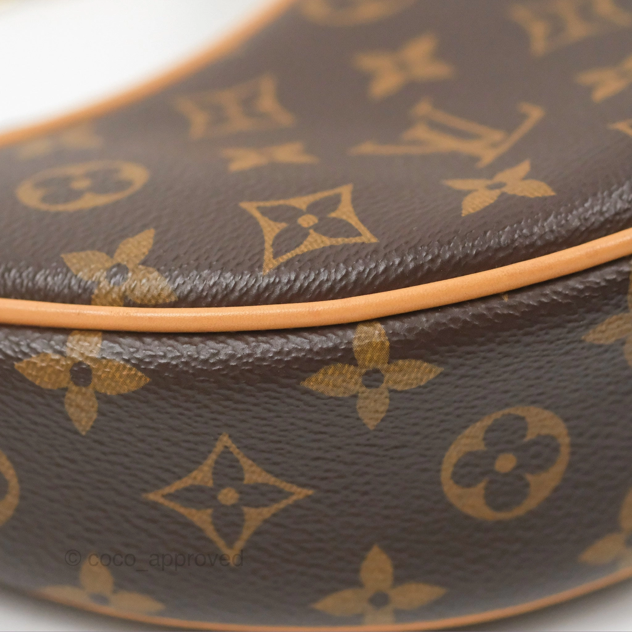 Louis Vuitton Loop Monogram Canvas