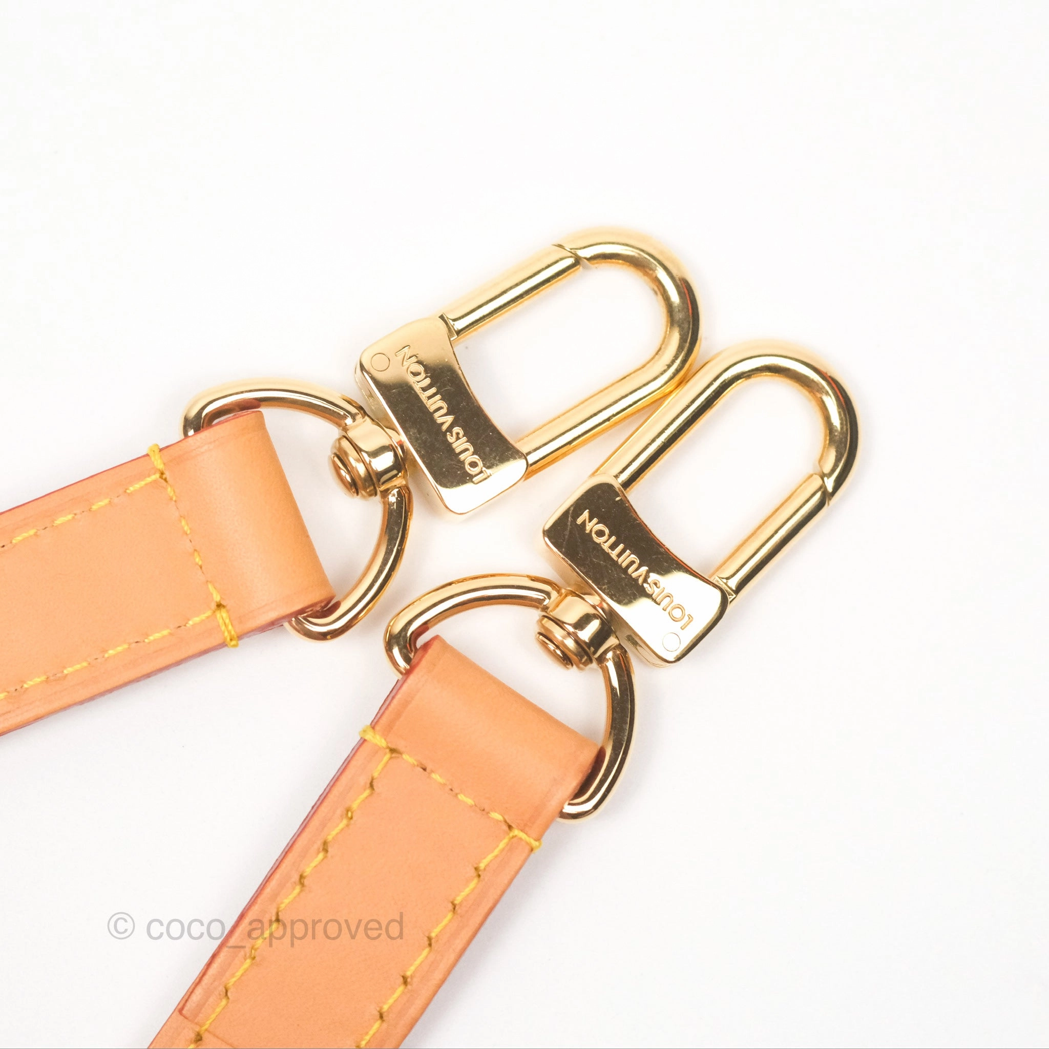 Louis Vuitton Loop Monogram Canvas
