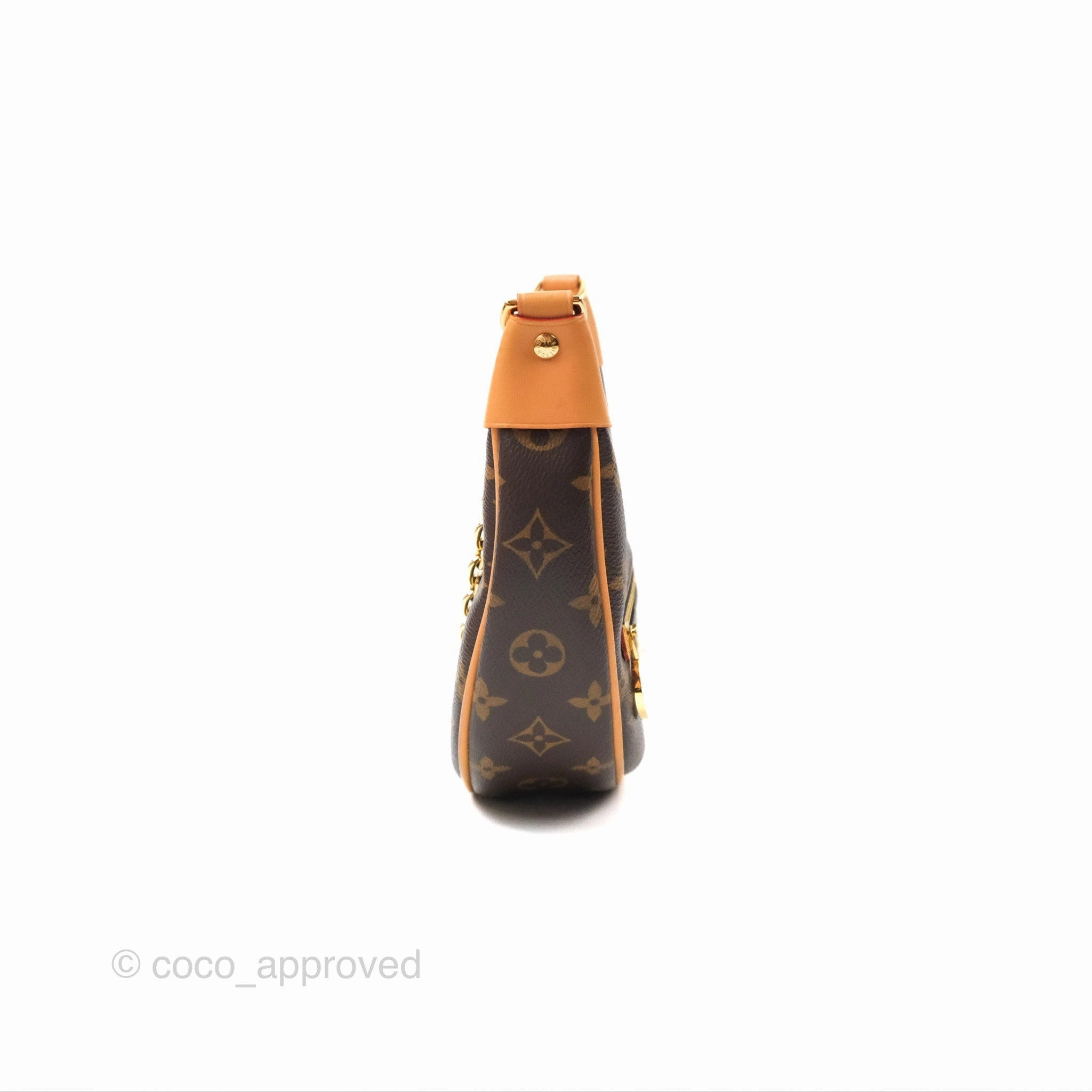 Louis Vuitton Loop Monogram Canvas