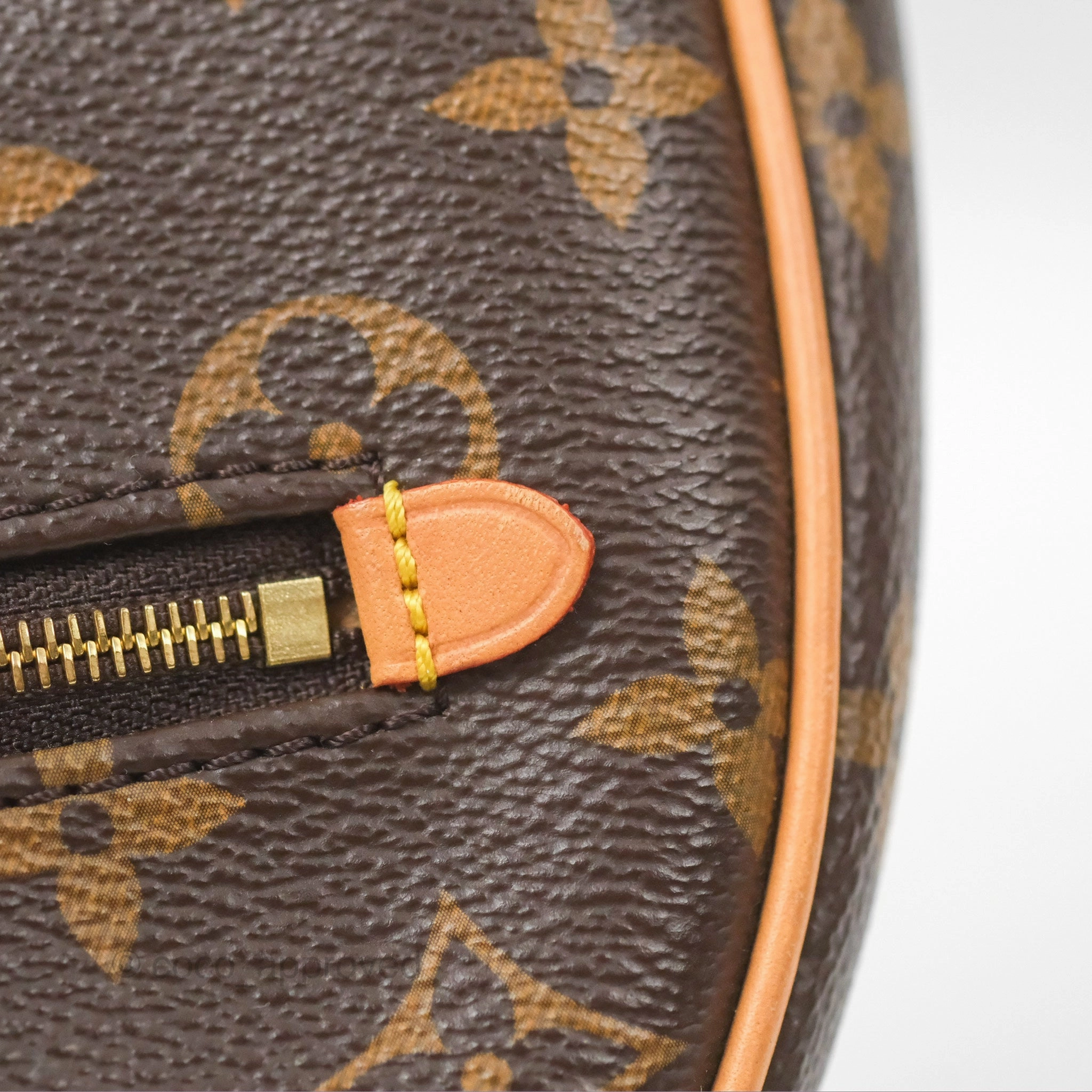 Louis Vuitton Loop Monogram Canvas