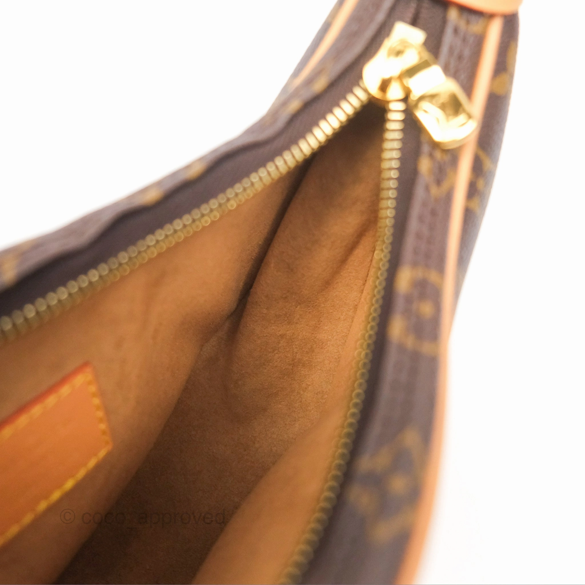 Louis Vuitton Loop Monogram Canvas
