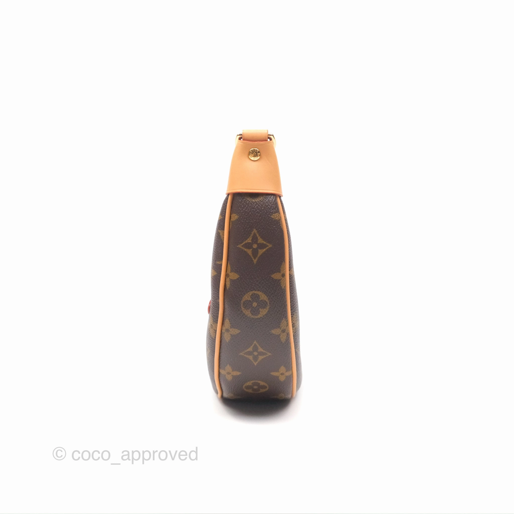 Louis Vuitton Loop Monogram Canvas