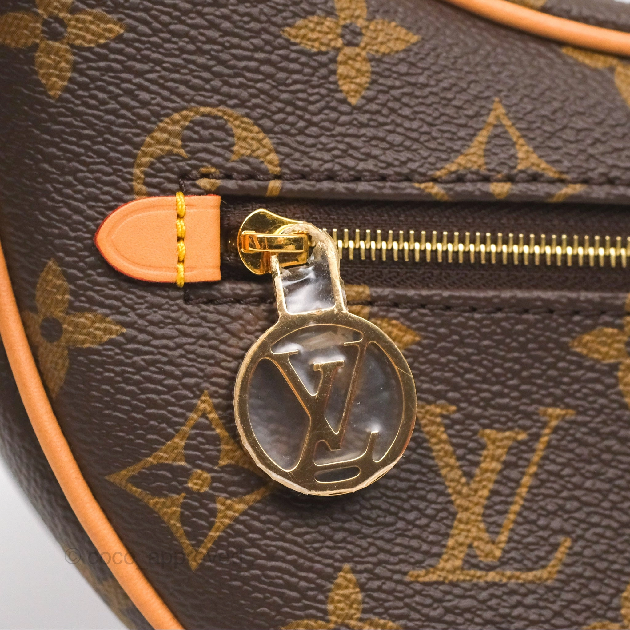 Louis Vuitton Loop Monogram Canvas