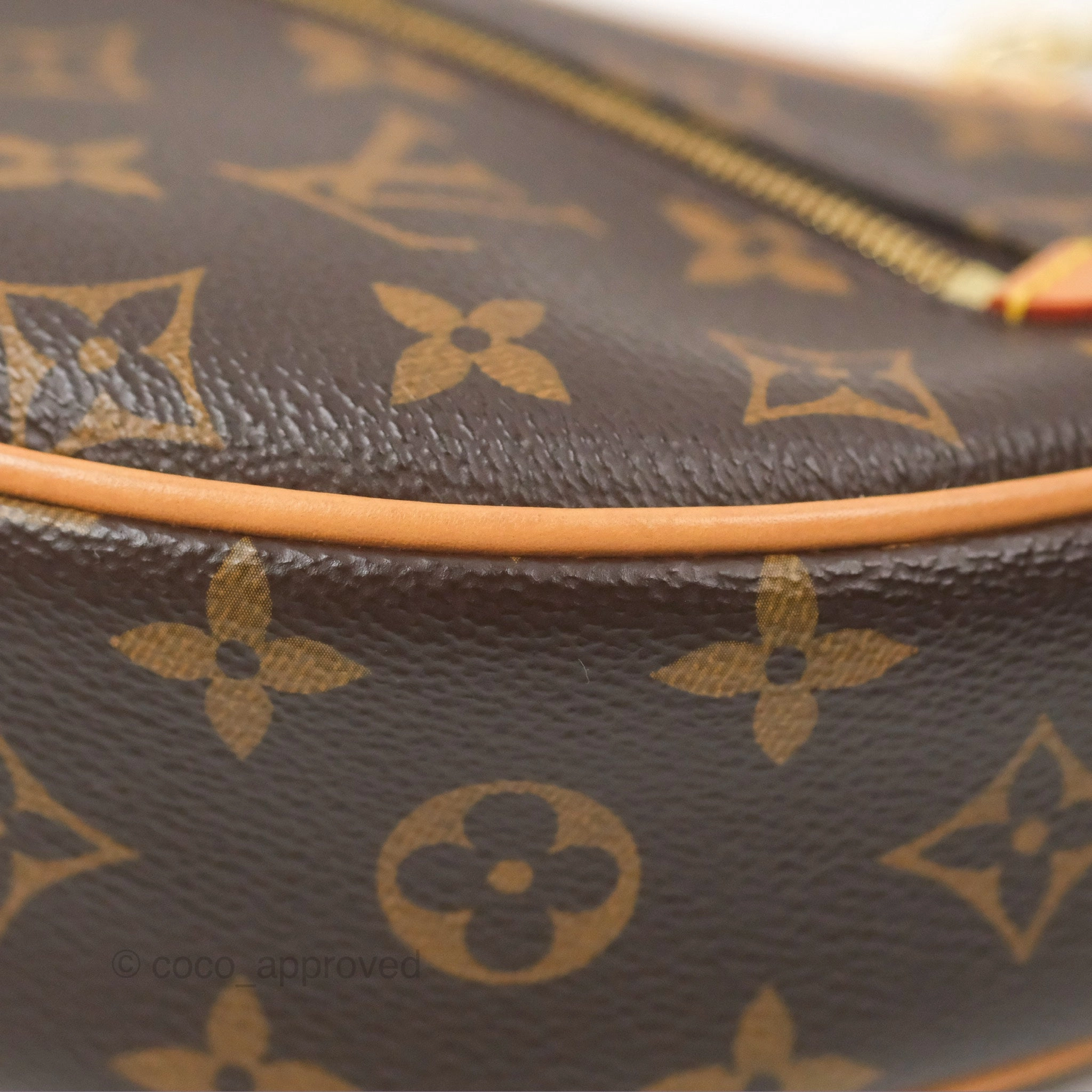 Louis Vuitton Loop Monogram Canvas