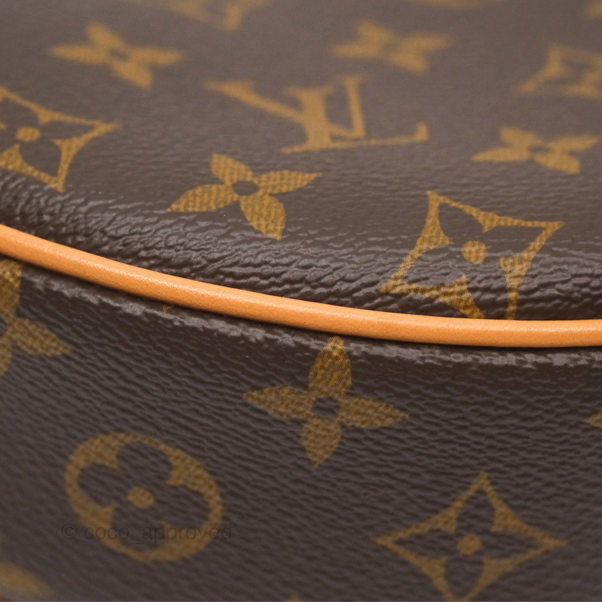 Louis Vuitton Loop Monogram Canvas
