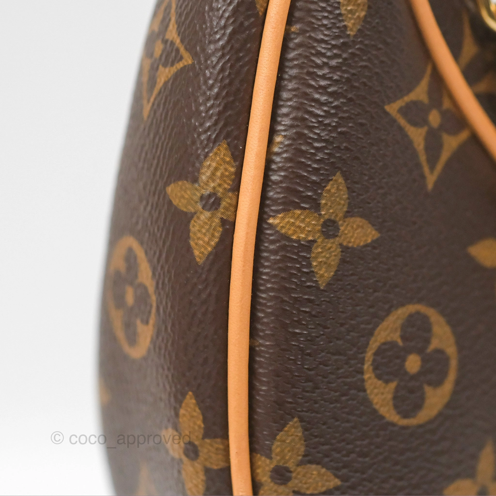 Louis Vuitton Loop Monogram Canvas