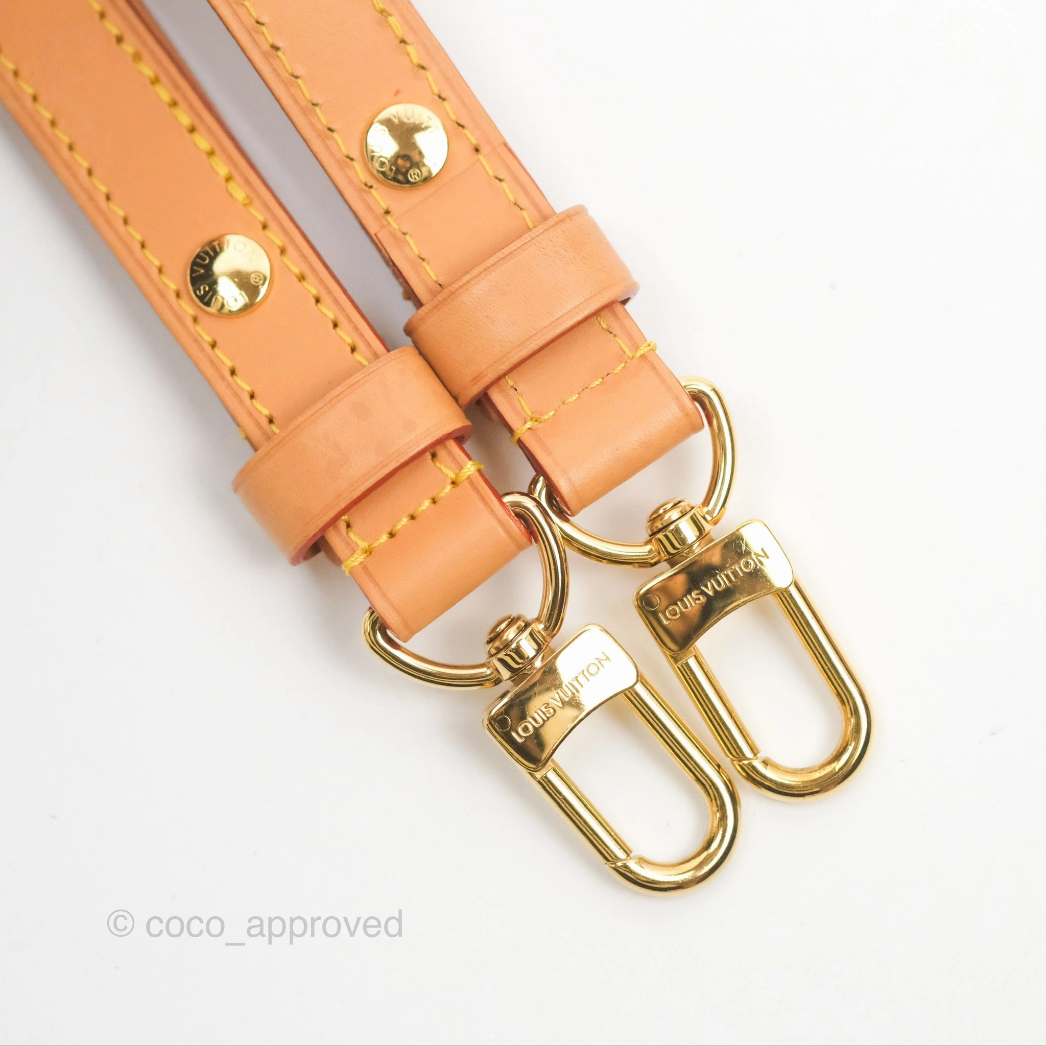 Louis Vuitton Loop Monogram Canvas