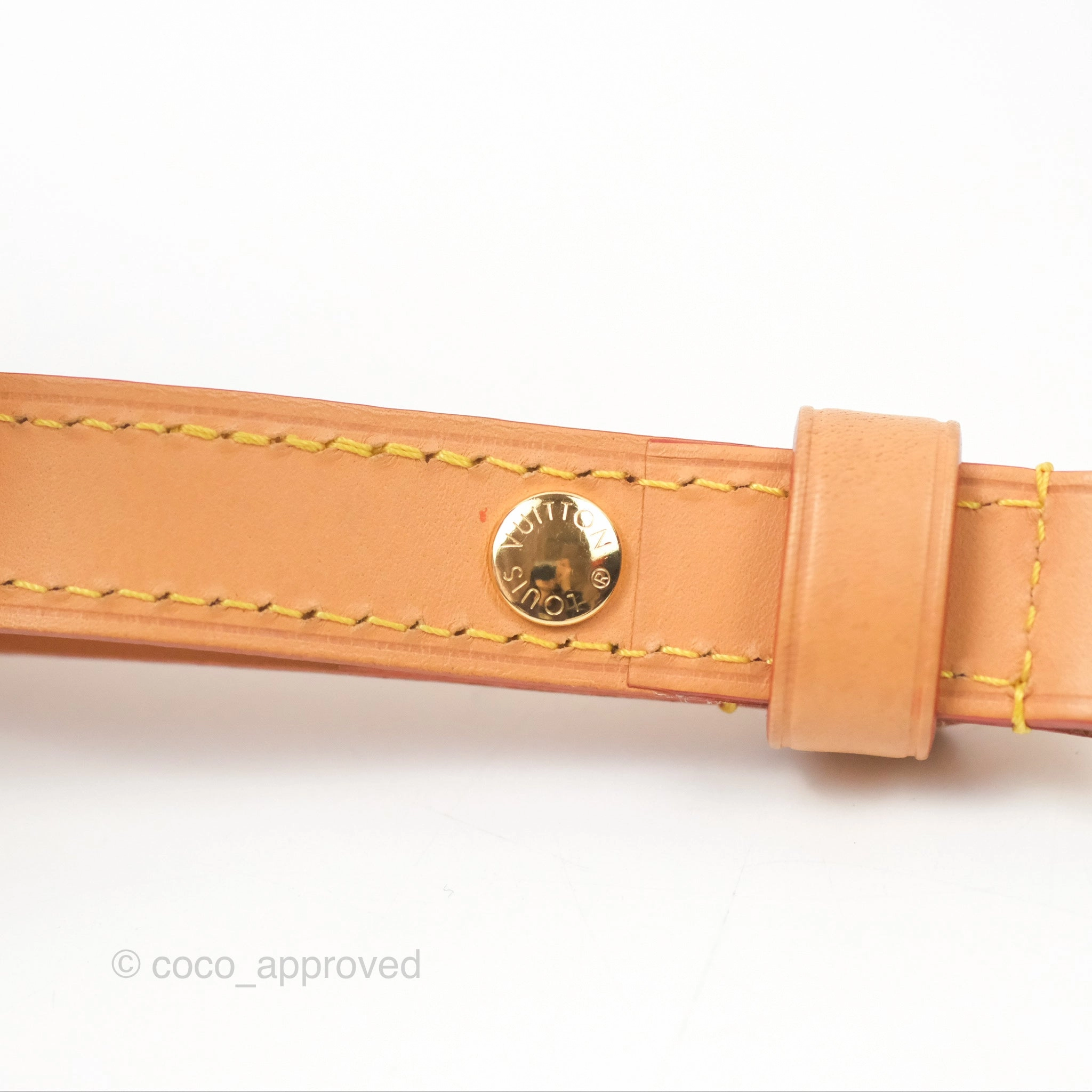 Louis Vuitton Loop Monogram Canvas