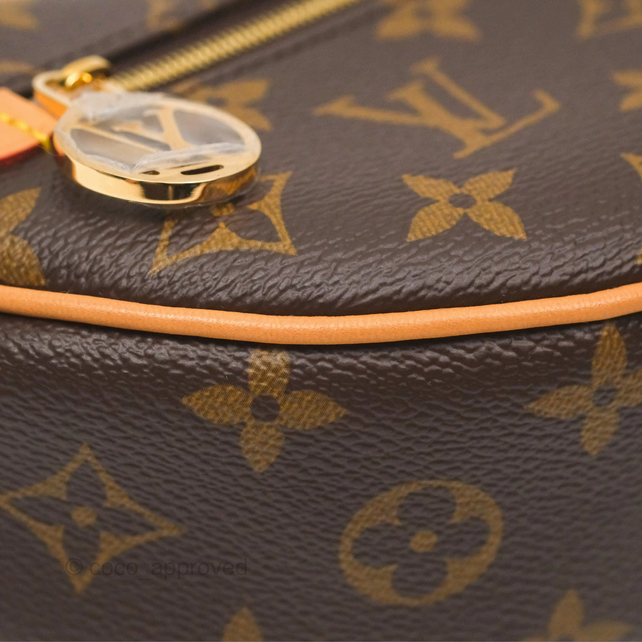 Louis Vuitton Loop Monogram Canvas