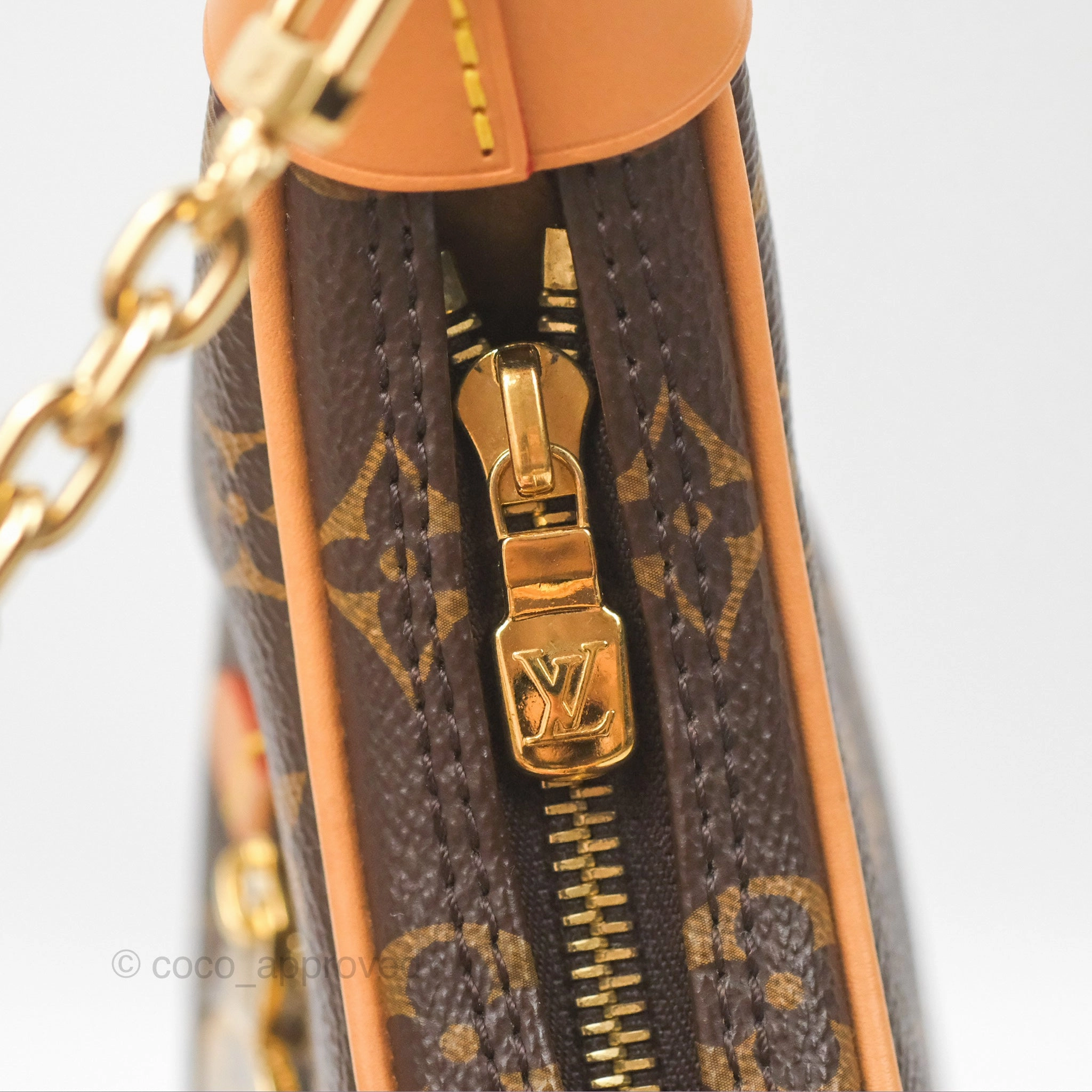 Louis Vuitton Loop Monogram Canvas