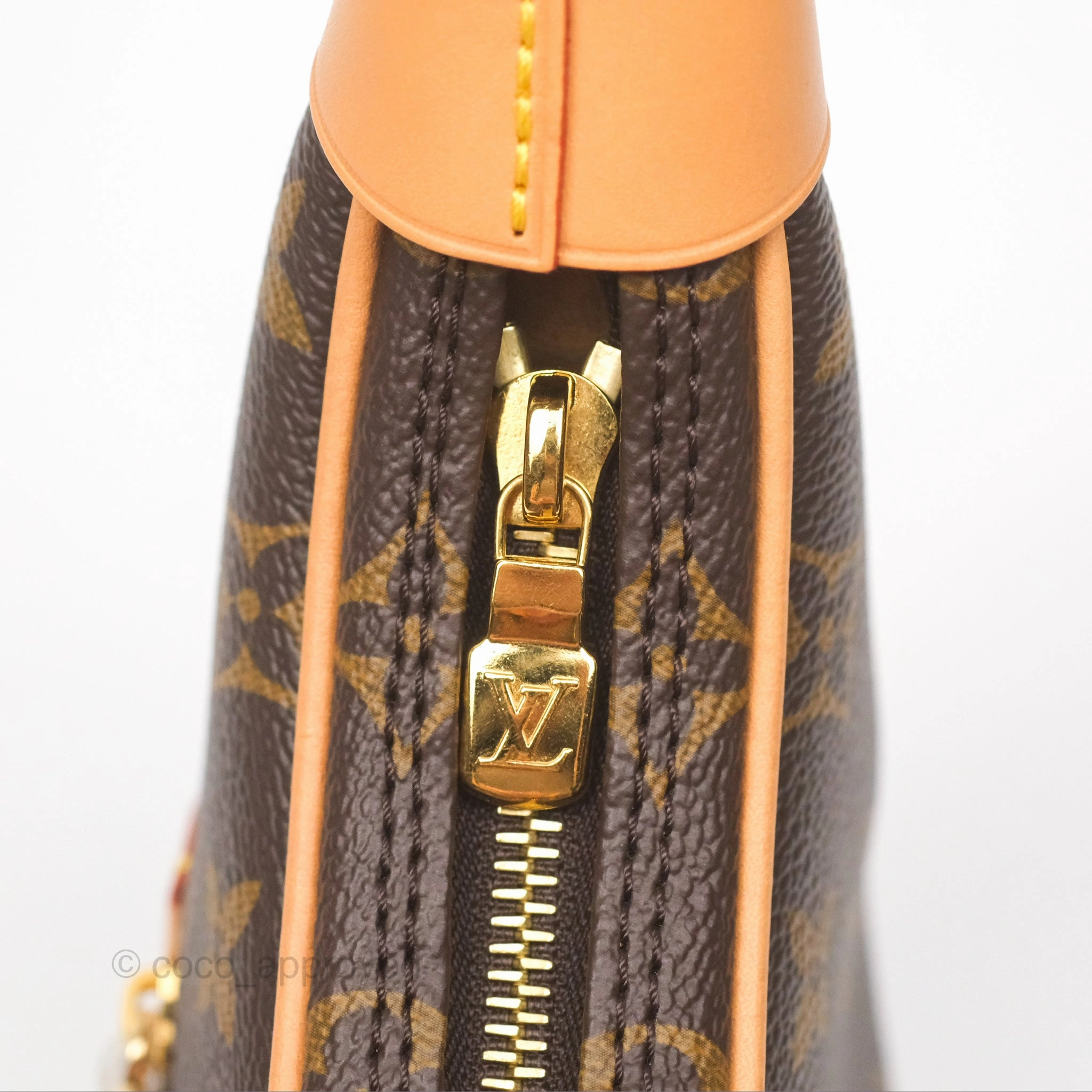 Louis Vuitton Loop Monogram Canvas