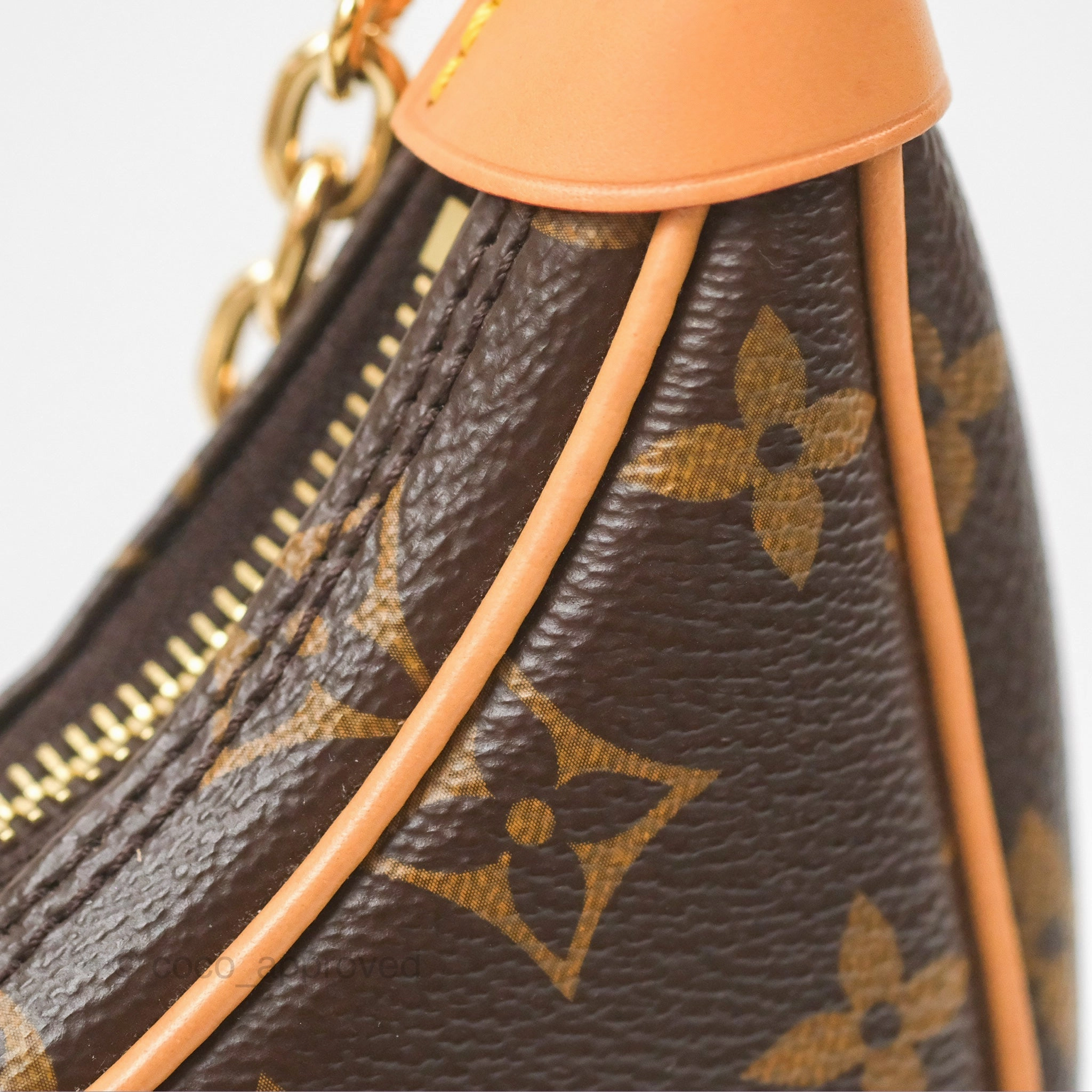Louis Vuitton Loop Monogram Canvas