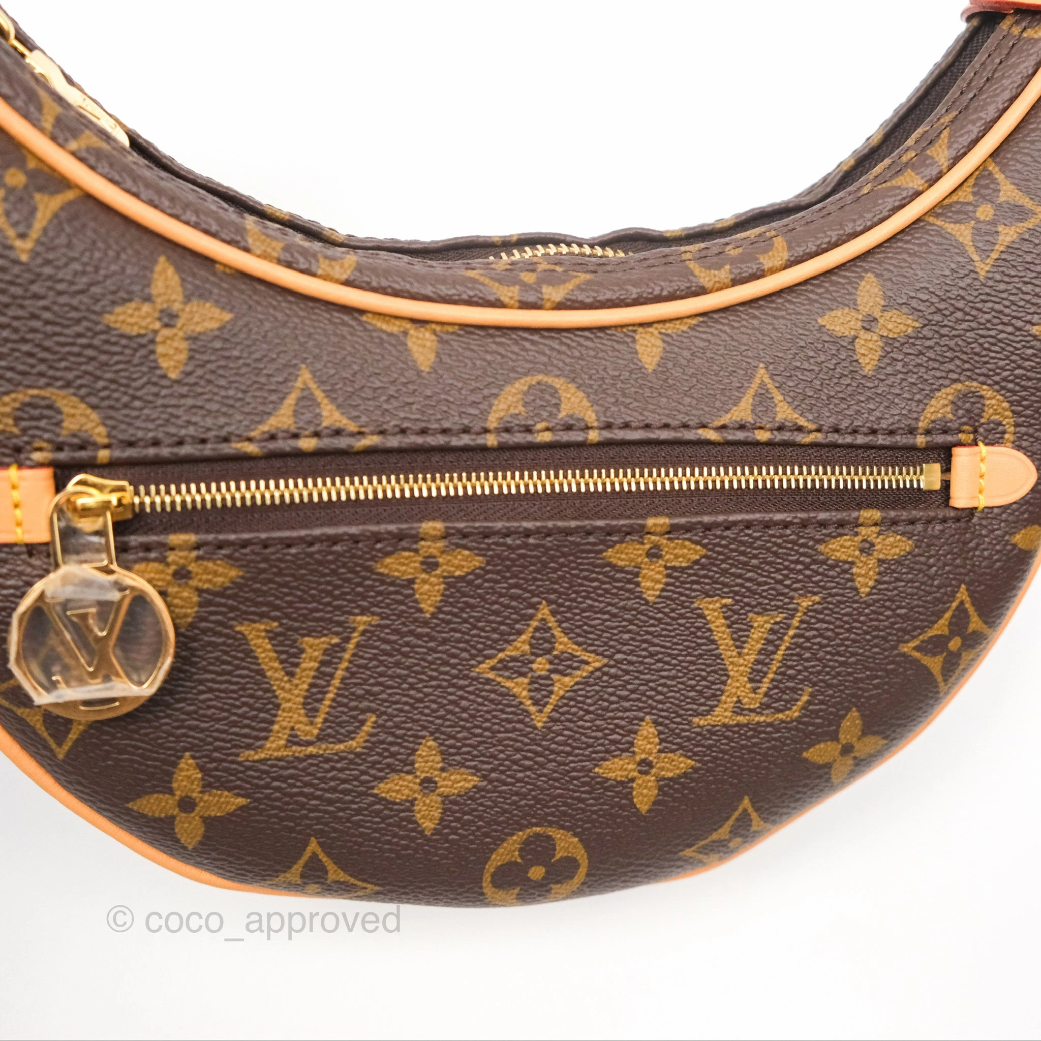 Louis Vuitton Loop Monogram Canvas