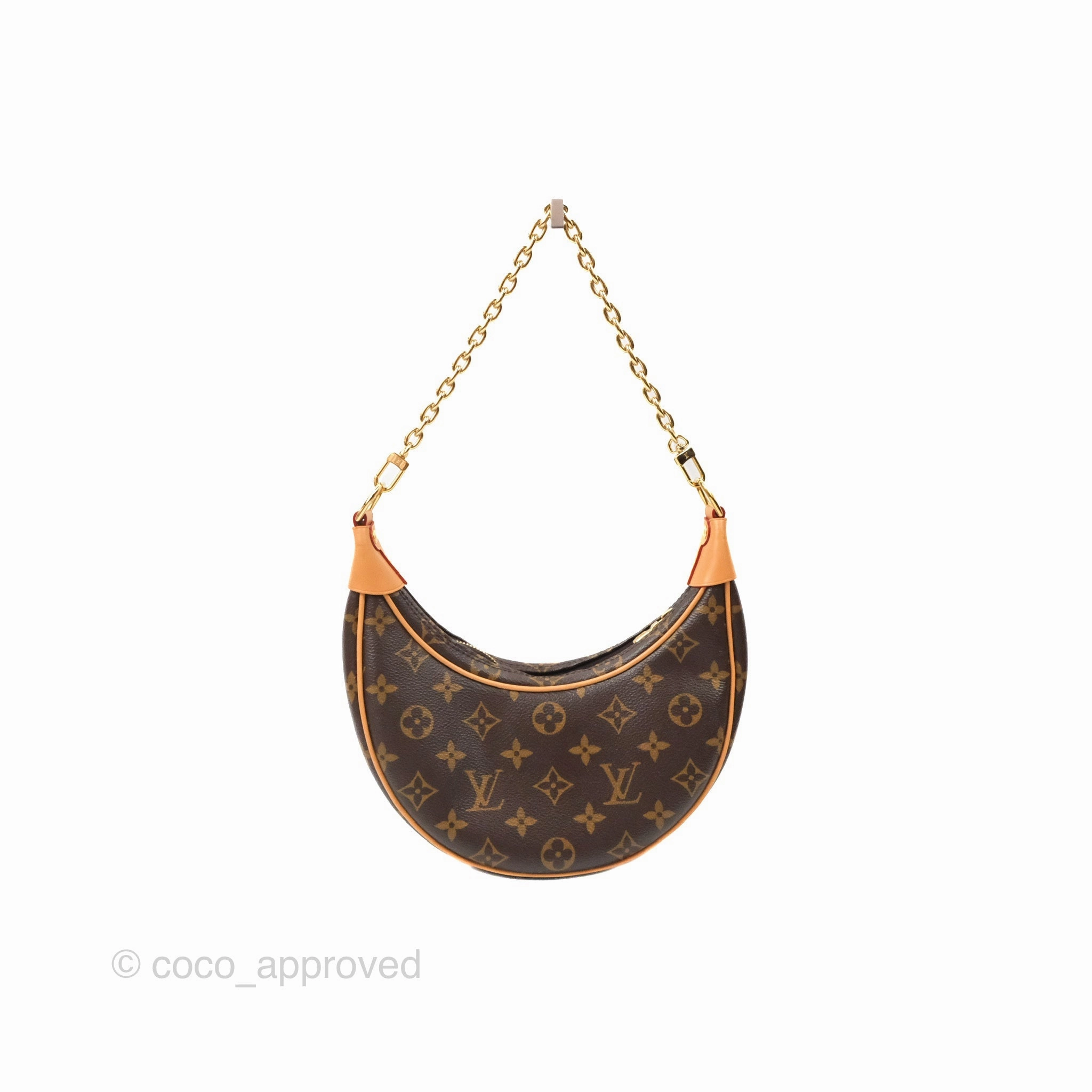 Louis Vuitton Loop Monogram Canvas