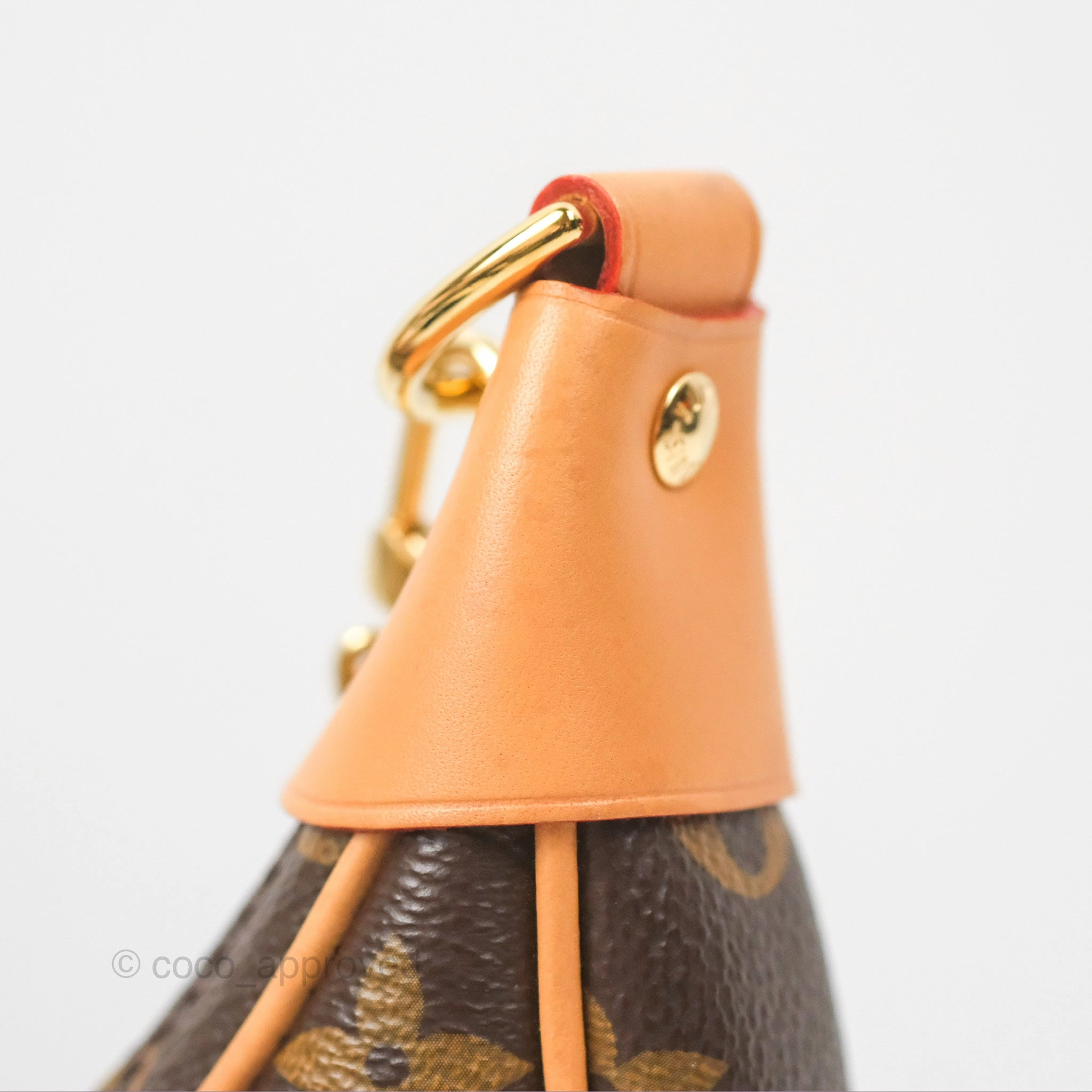 Louis Vuitton Loop Monogram Canvas
