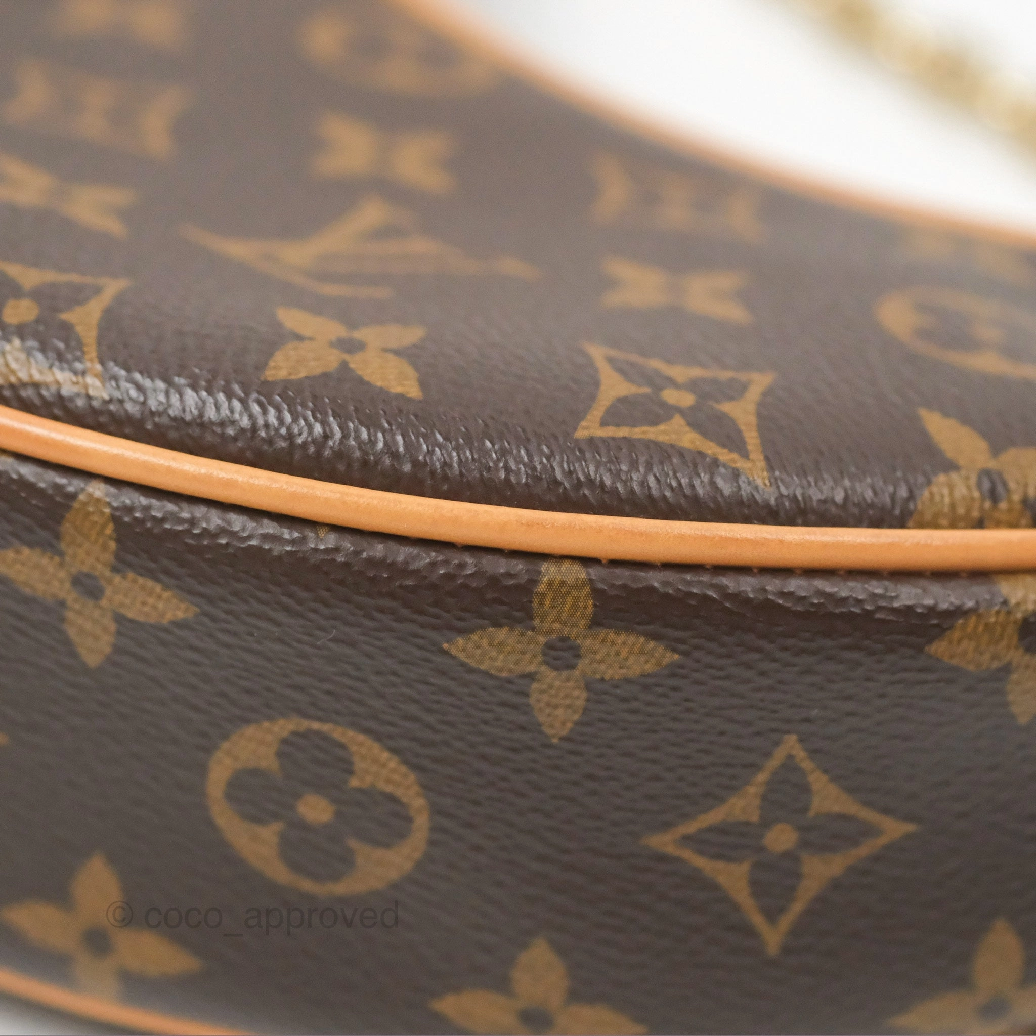 Louis Vuitton Loop Monogram Canvas