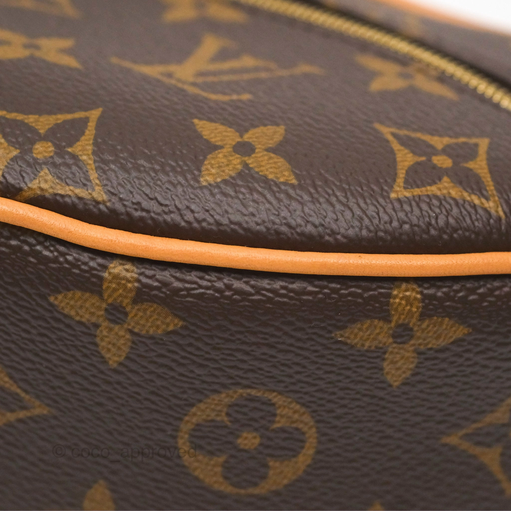 Louis Vuitton Loop Monogram Canvas