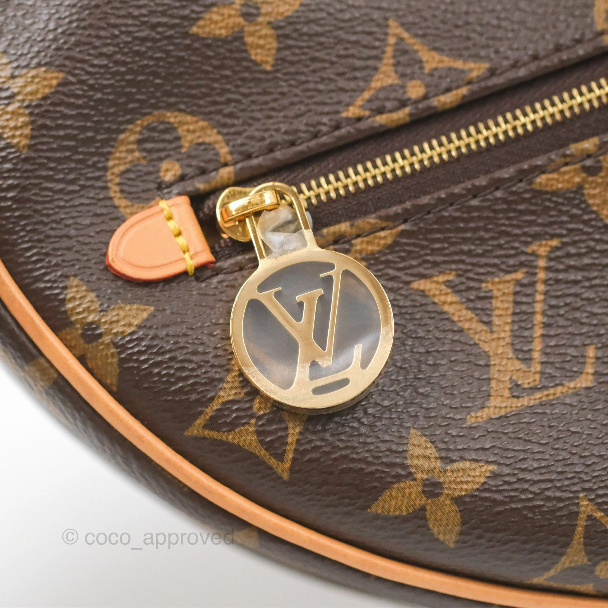 Louis Vuitton Loop Monogram Canvas