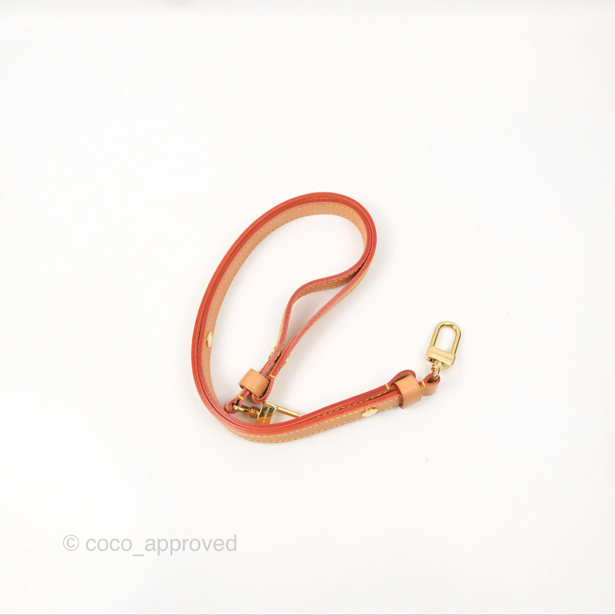 Louis Vuitton Loop Monogram Canvas