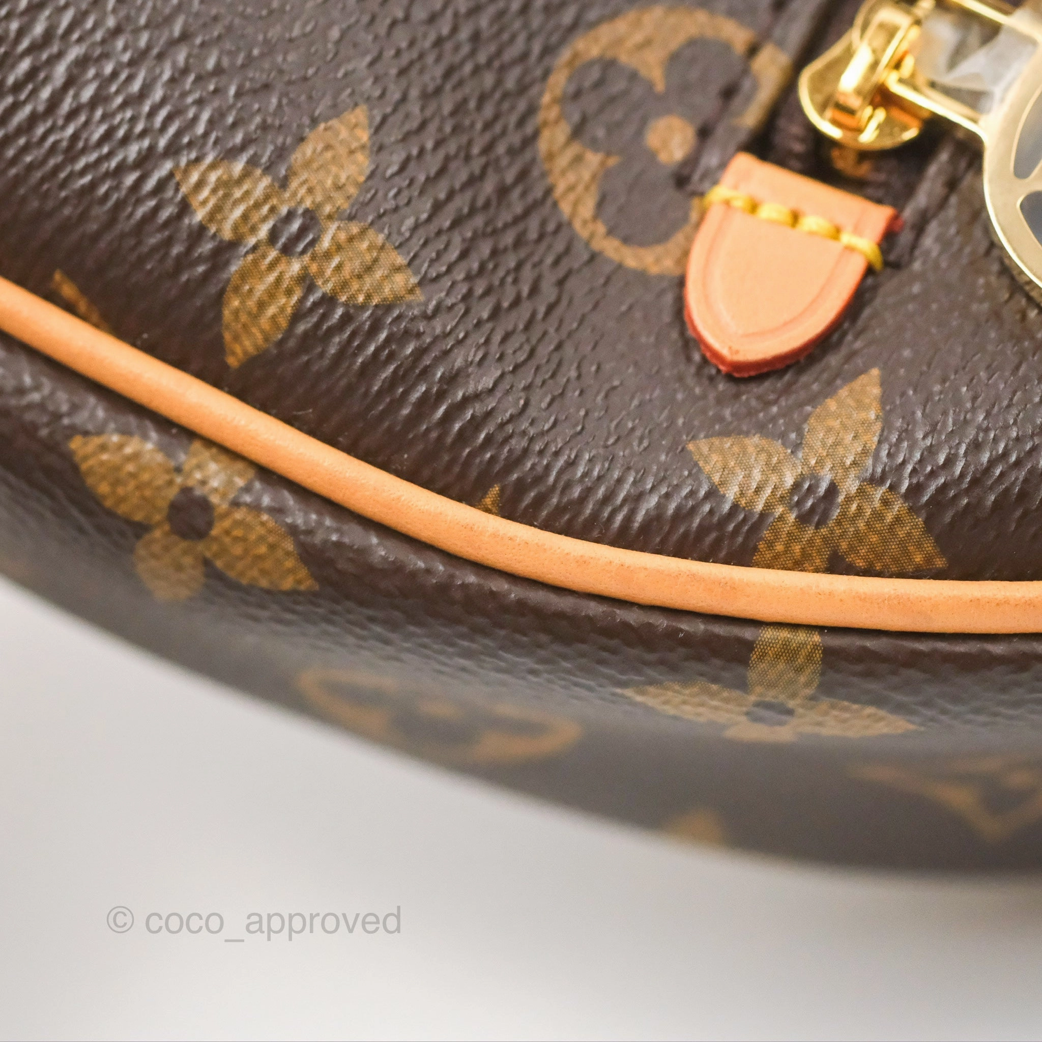 Louis Vuitton Loop Monogram Canvas