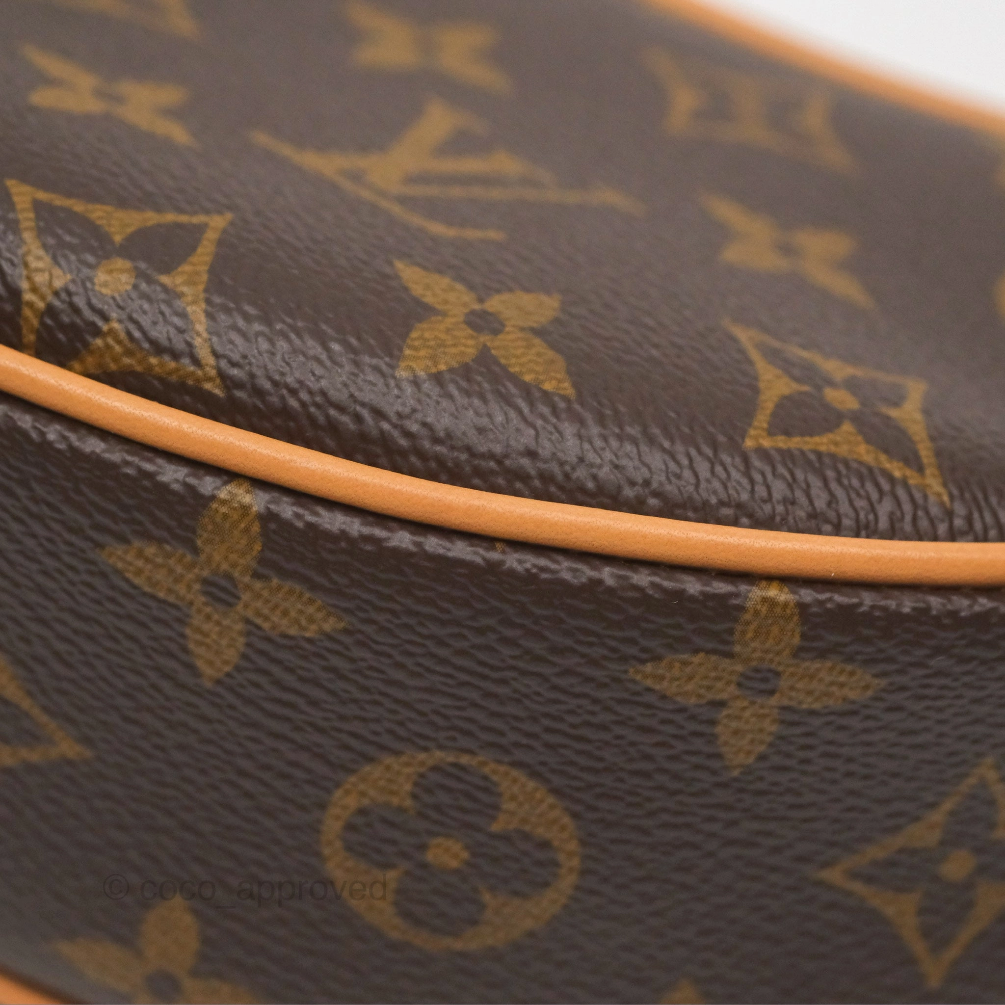 Louis Vuitton Loop Monogram Canvas