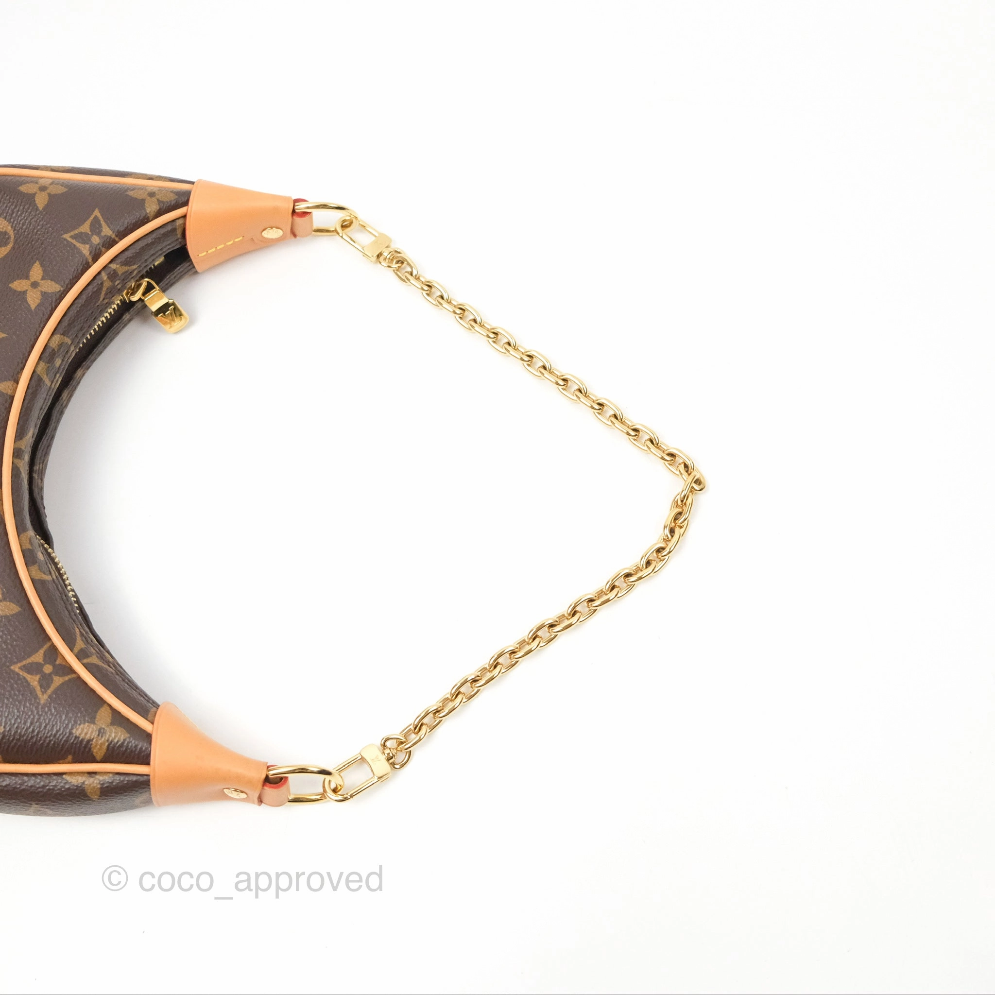 Louis Vuitton Loop Monogram Canvas