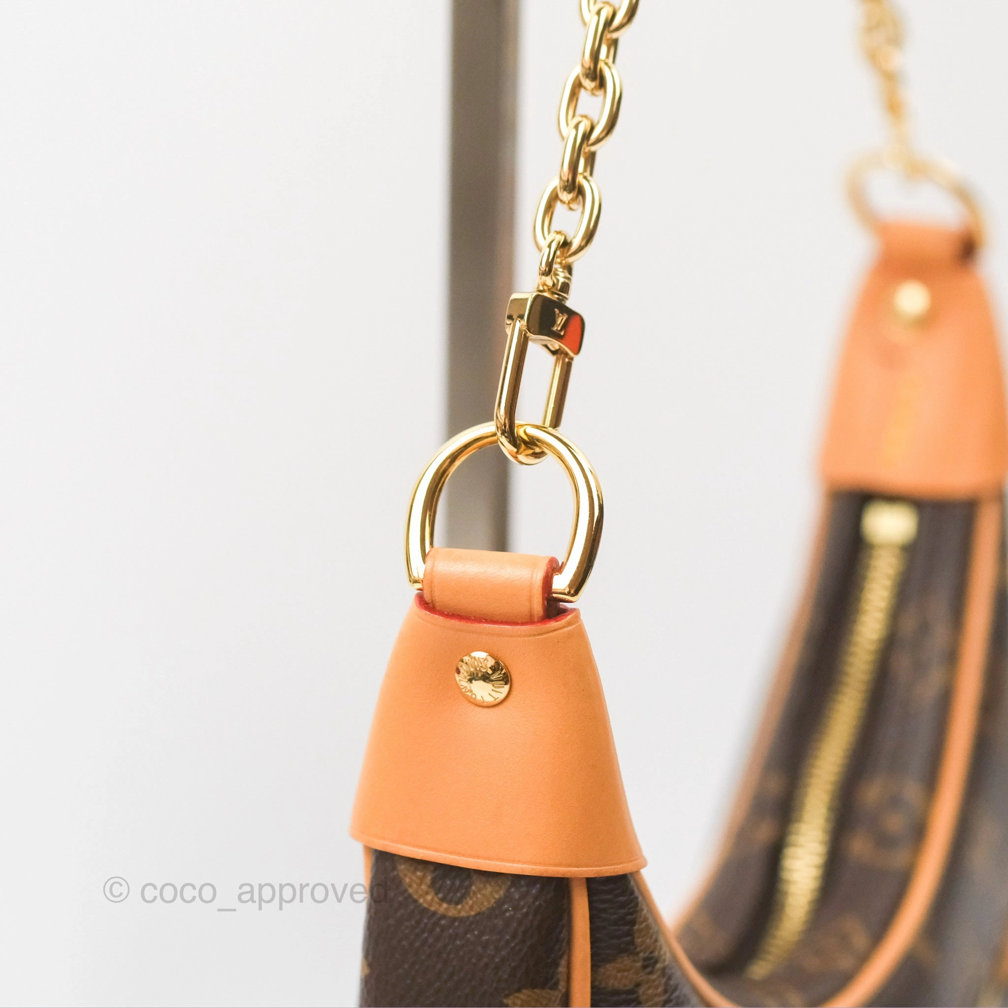 Louis Vuitton Loop Monogram Canvas