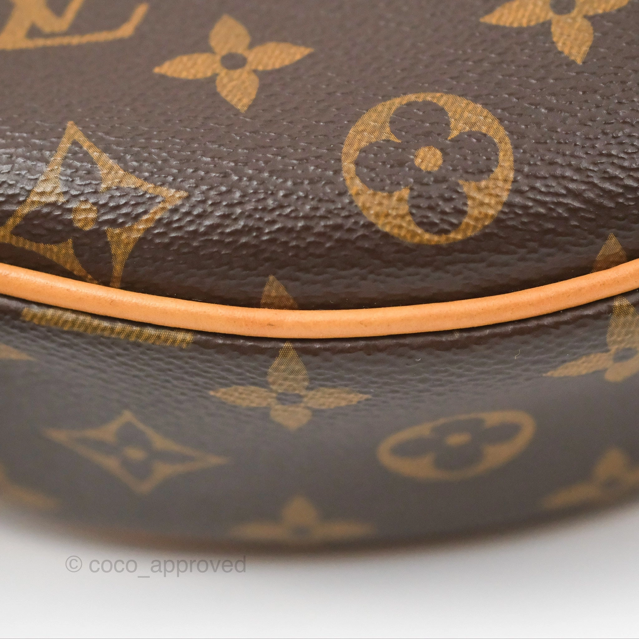 Louis Vuitton Loop Monogram Canvas