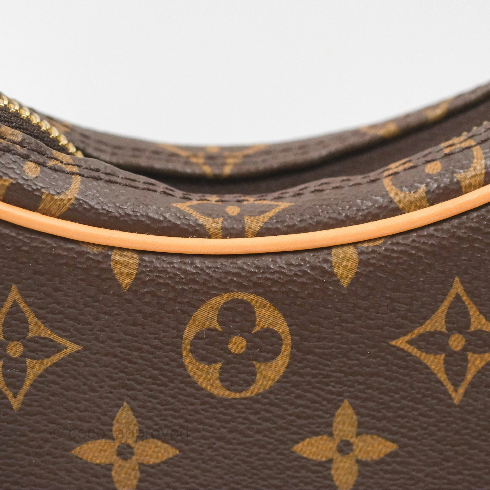 Louis Vuitton Loop Monogram Canvas