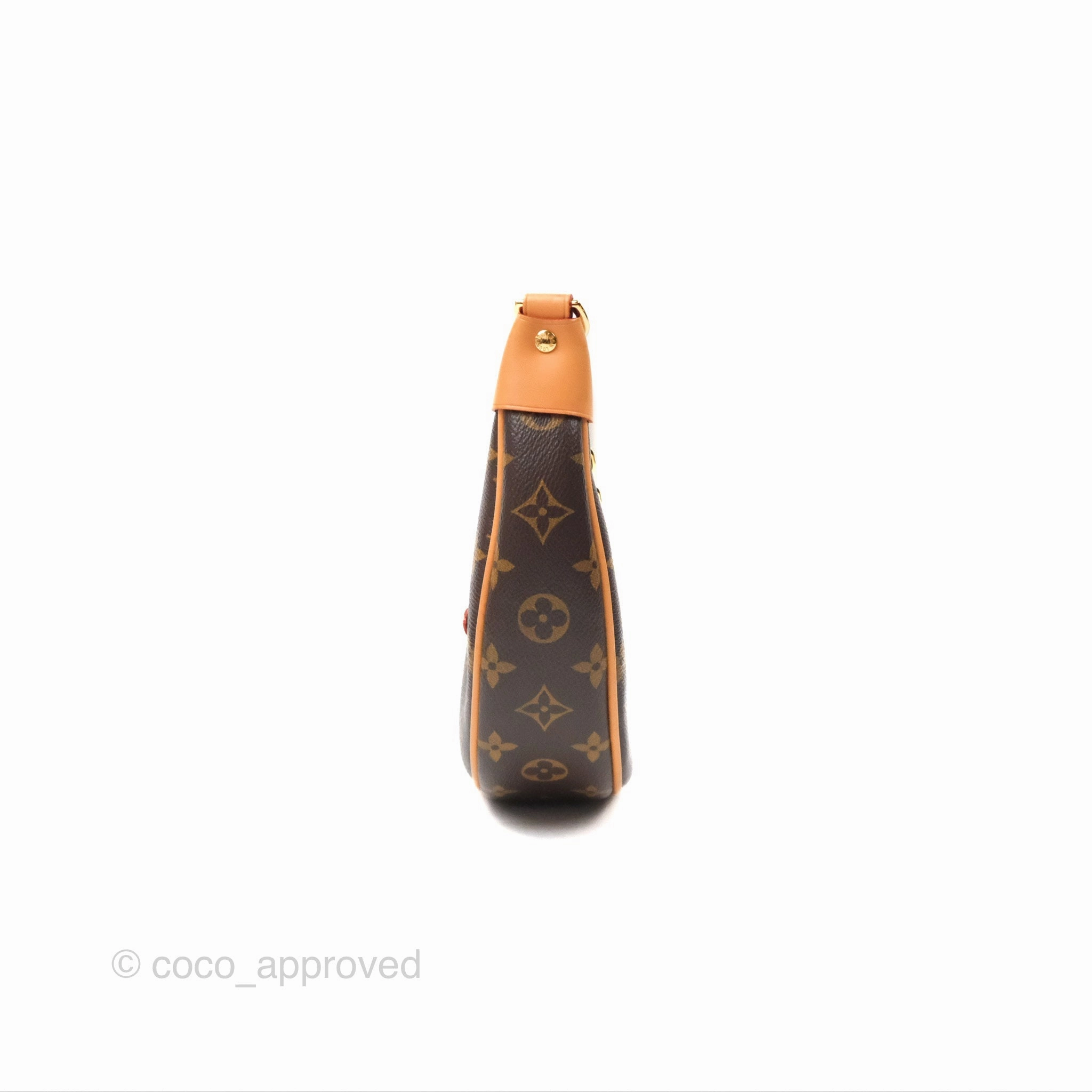 Louis Vuitton Loop Monogram Canvas