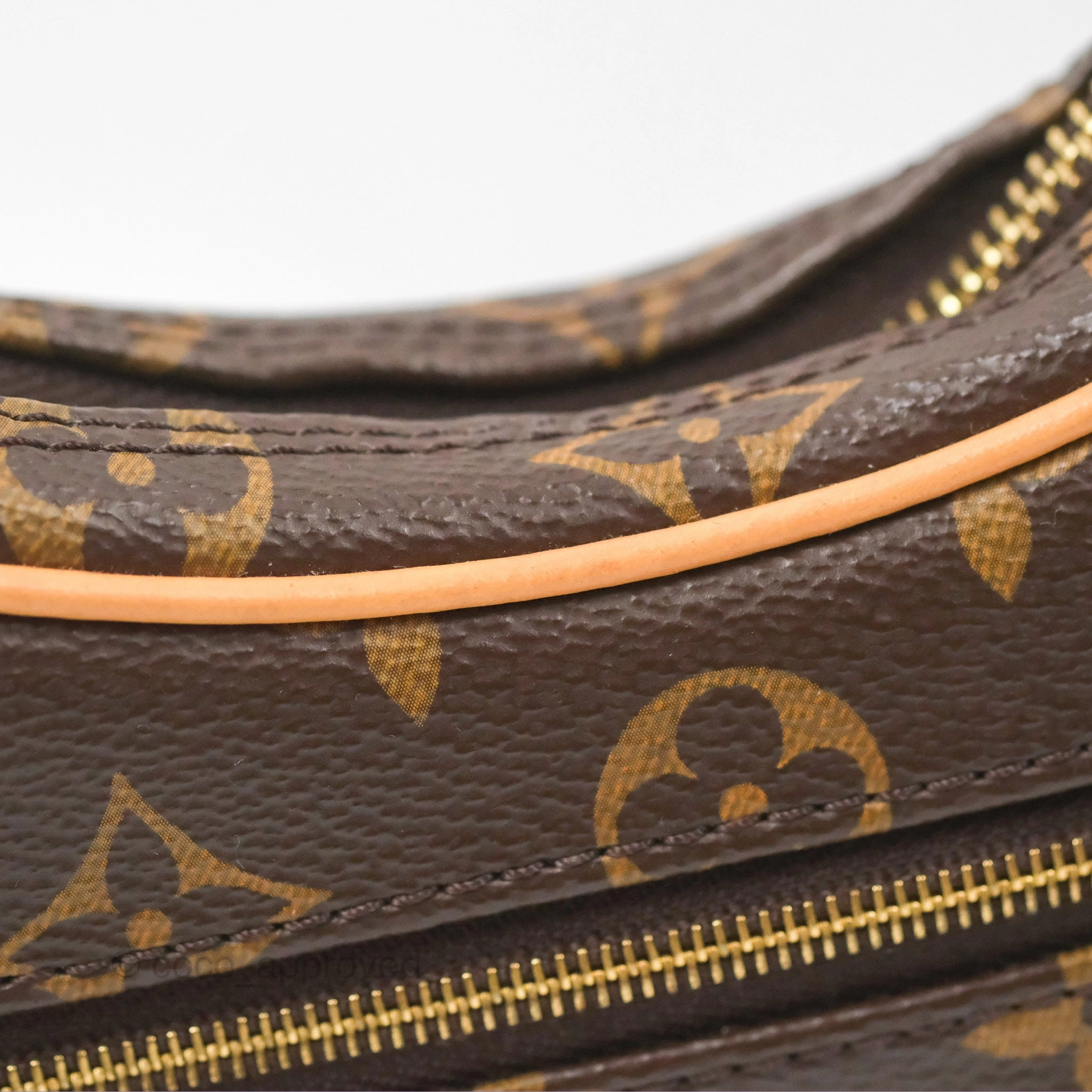 Louis Vuitton Loop Monogram Canvas