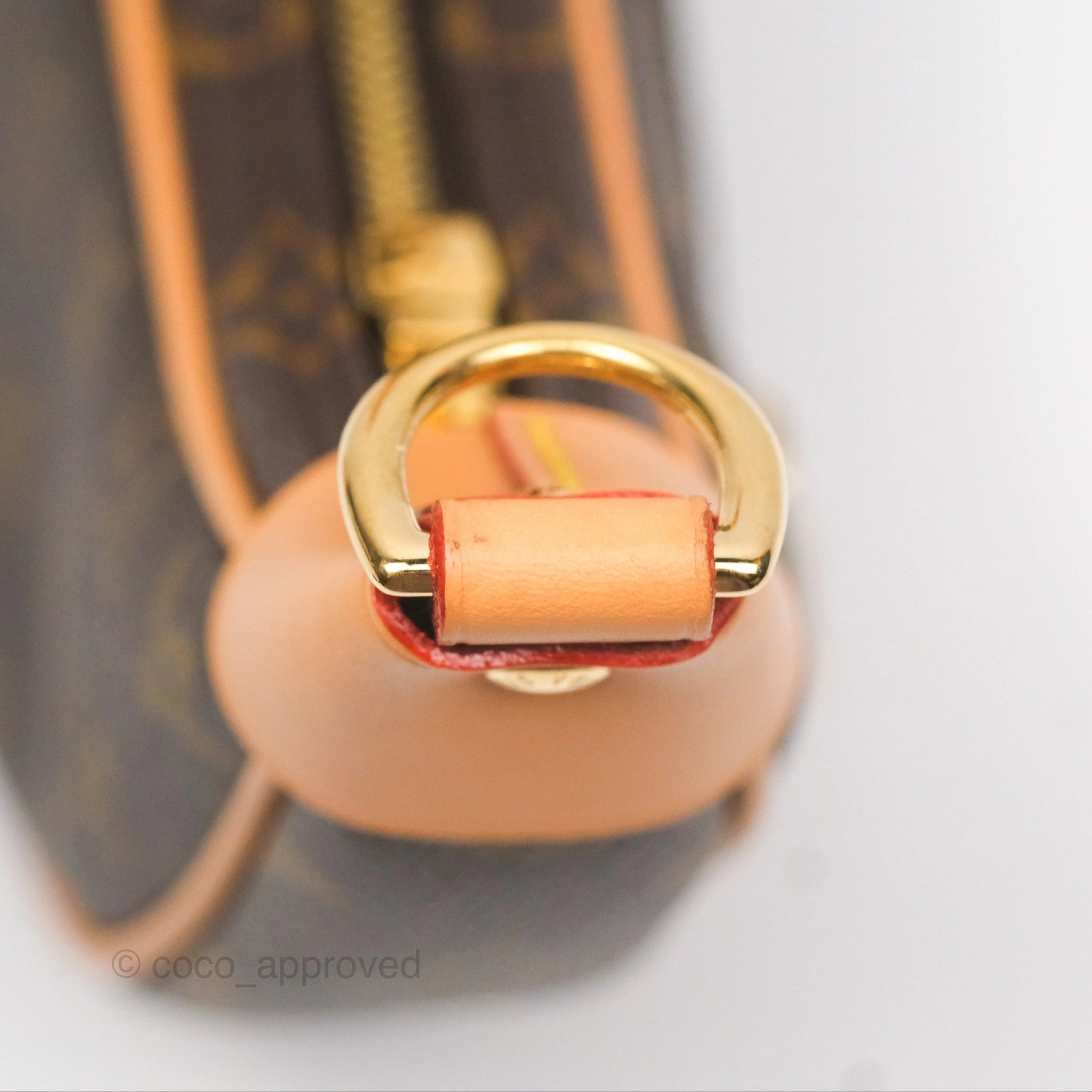 Louis Vuitton Loop Monogram Canvas