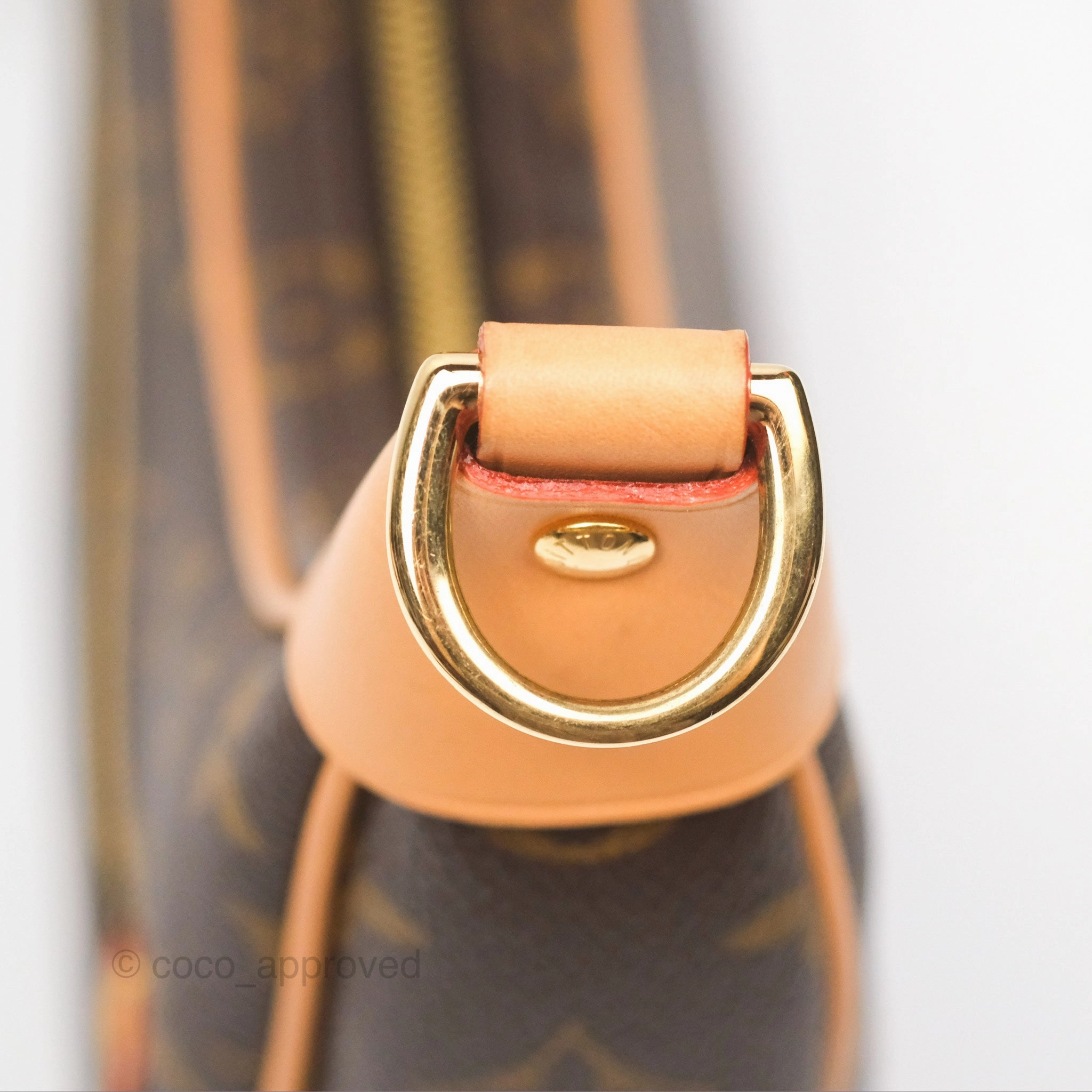 Louis Vuitton Loop Monogram Canvas