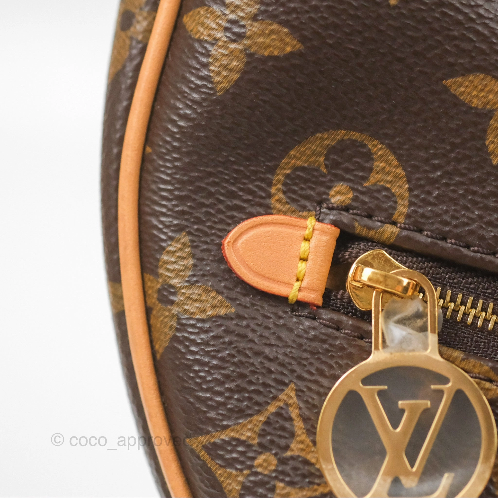 Louis Vuitton Loop Monogram Canvas