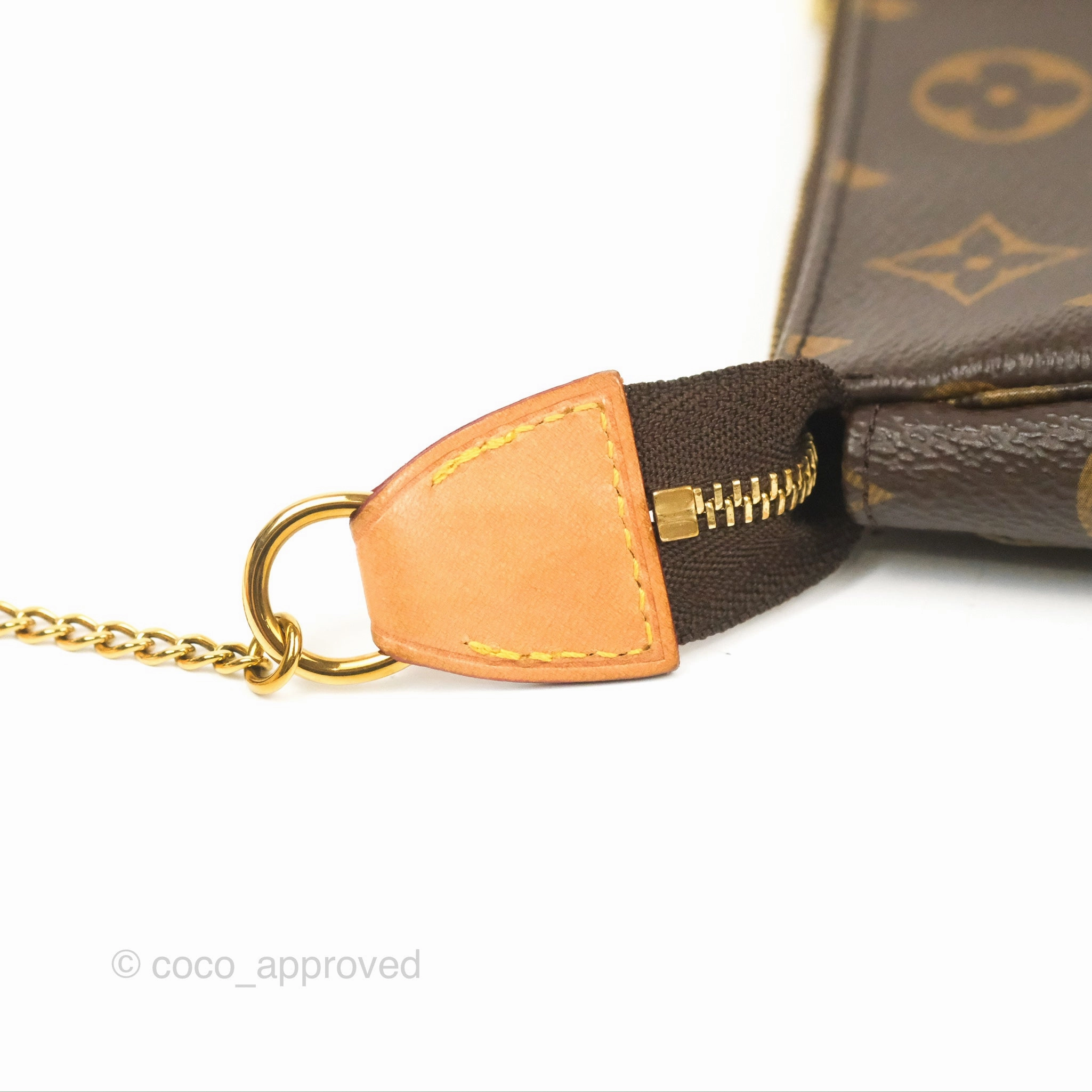 Louis Vuitton Monogram Canvas Mini Pochette Accessories