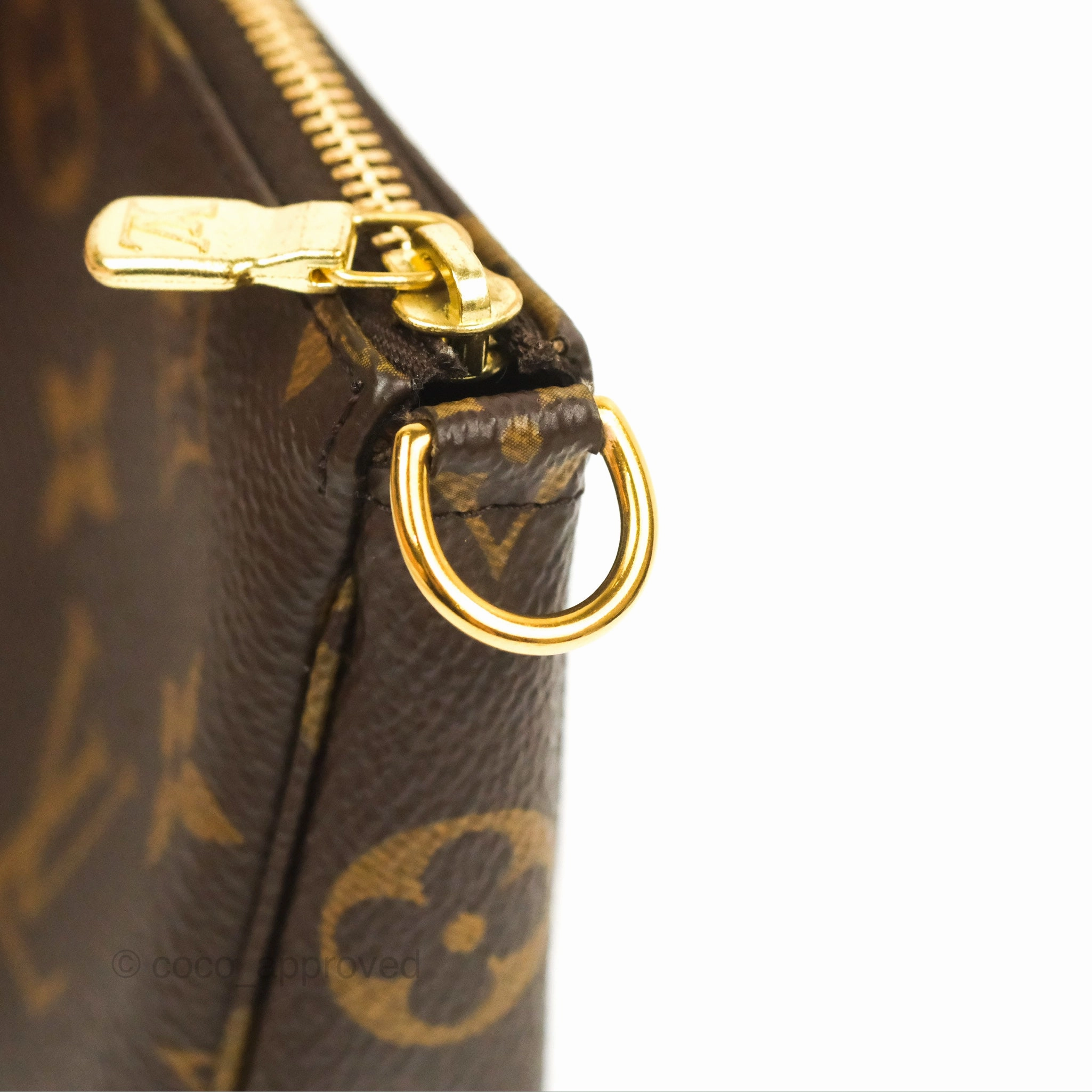 Louis Vuitton Monogram Canvas Mini Pochette Accessories