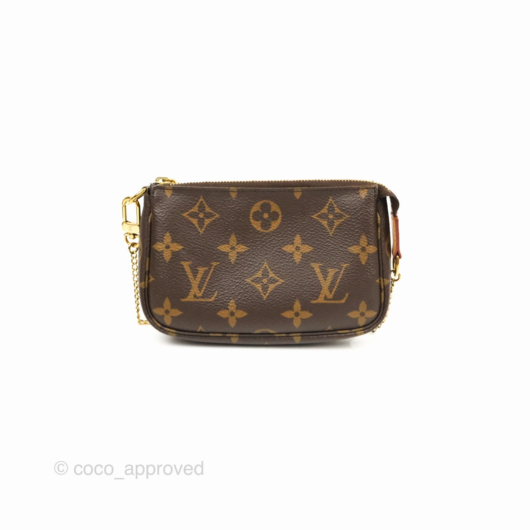 Louis Vuitton Monogram Canvas Mini Pochette Accessories