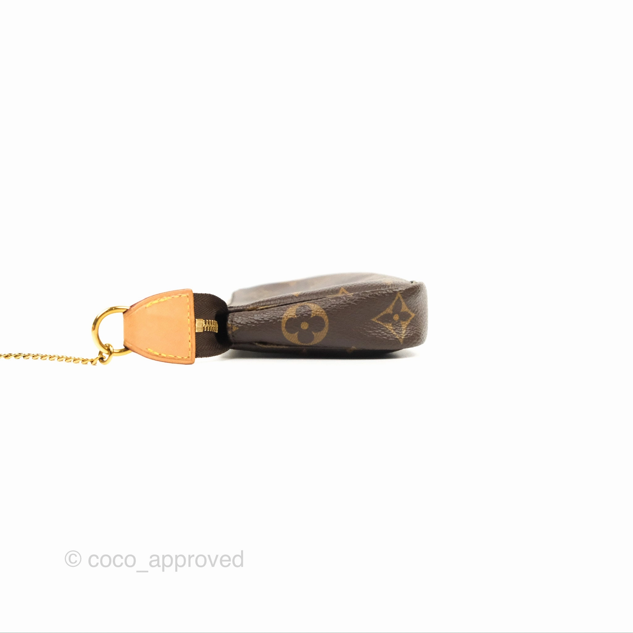 Louis Vuitton Monogram Canvas Mini Pochette Accessories
