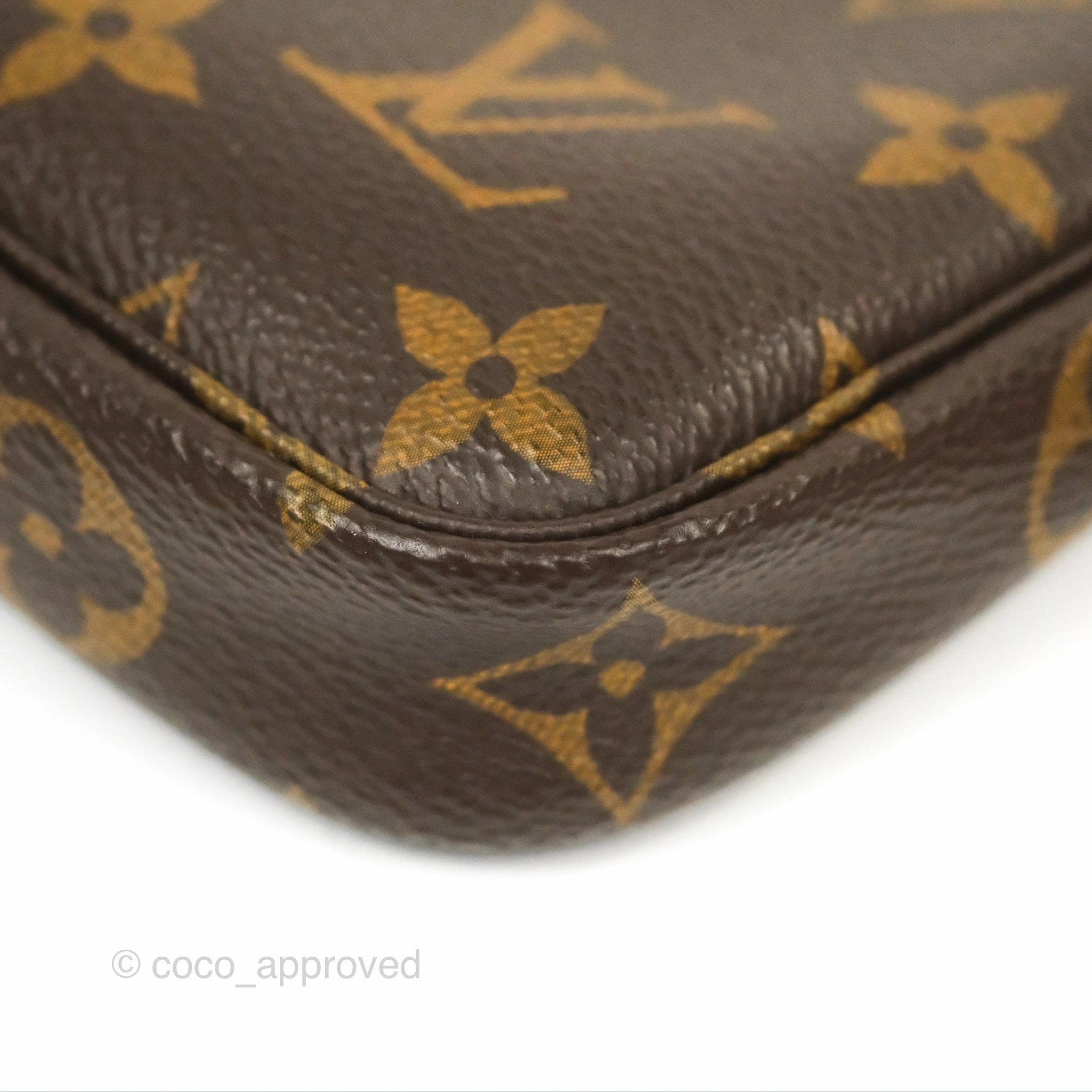 Louis Vuitton Monogram Canvas Mini Pochette Accessories
