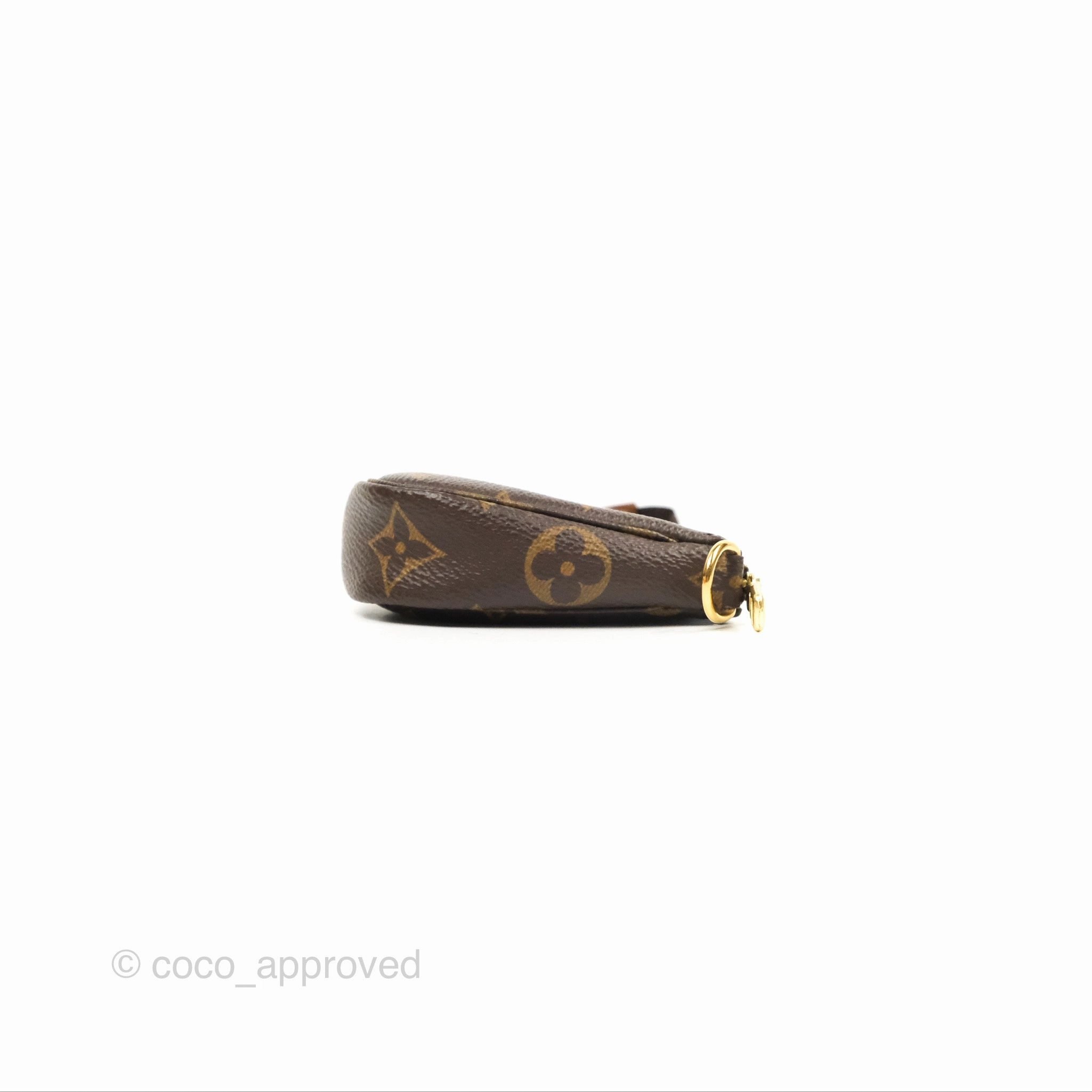 Louis Vuitton Monogram Canvas Mini Pochette Accessories