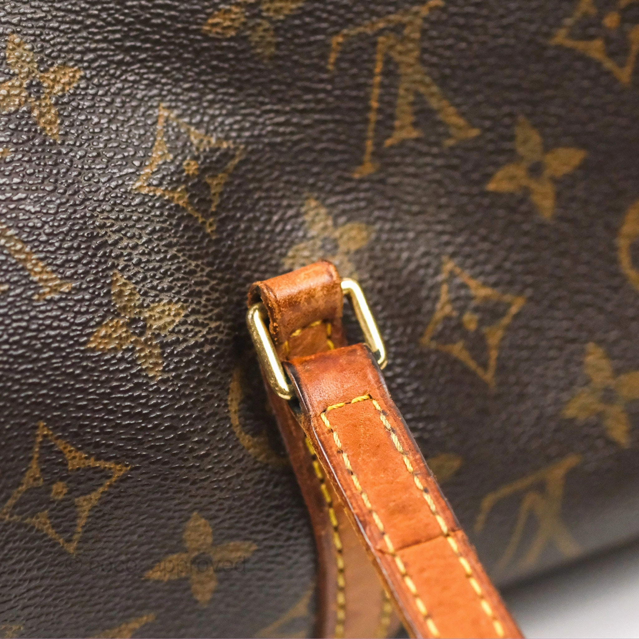 Louis Vuitton Monogram Papillon 26