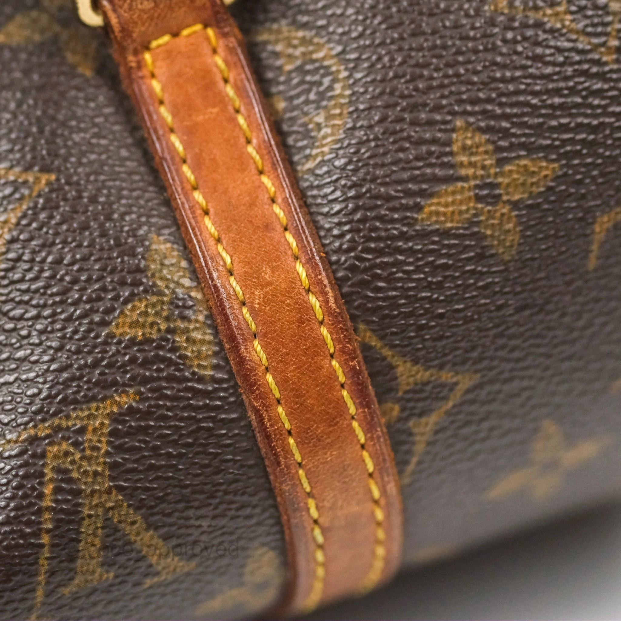 Louis Vuitton Monogram Papillon 26